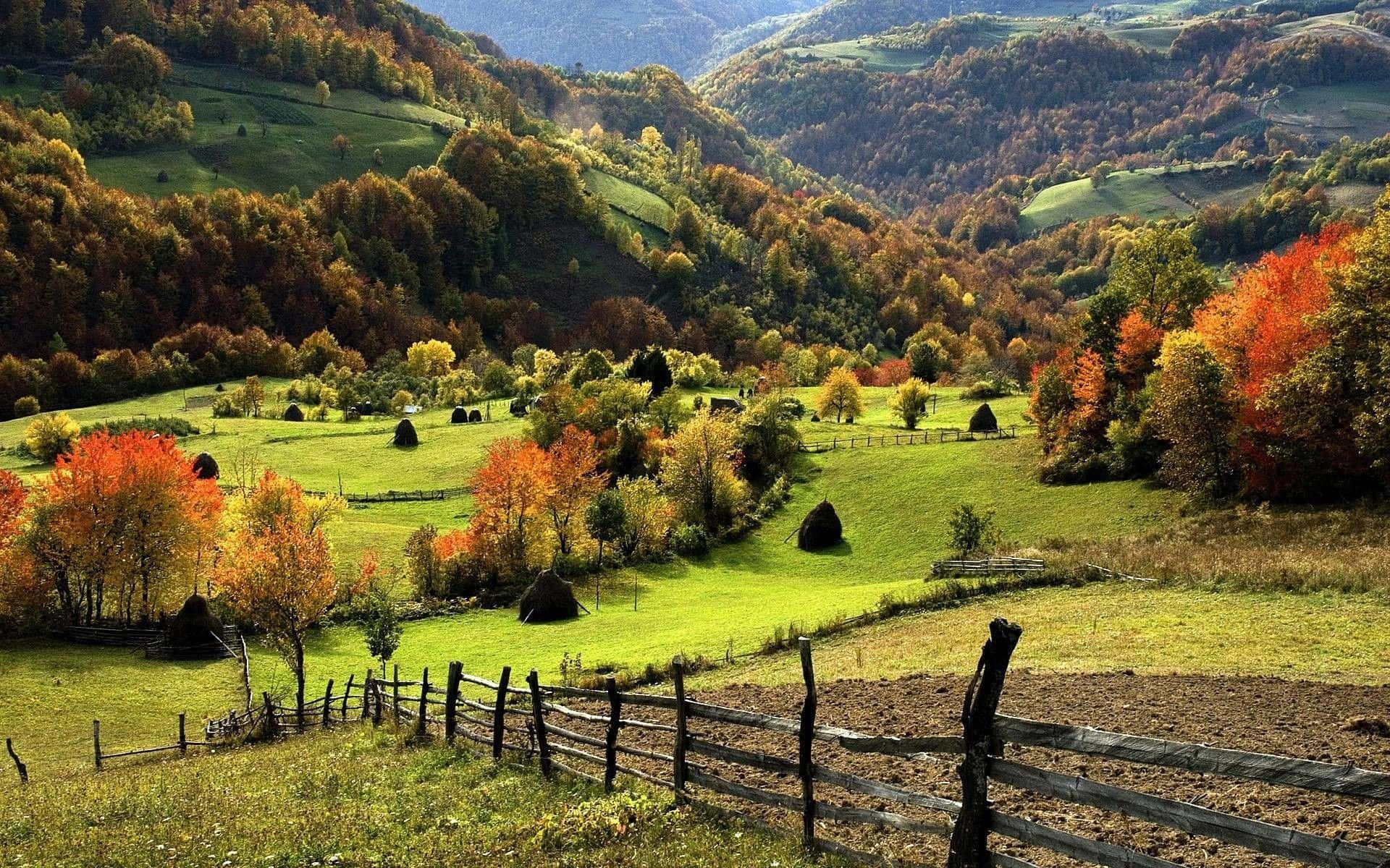1920x1200 Countryside Wallpaper