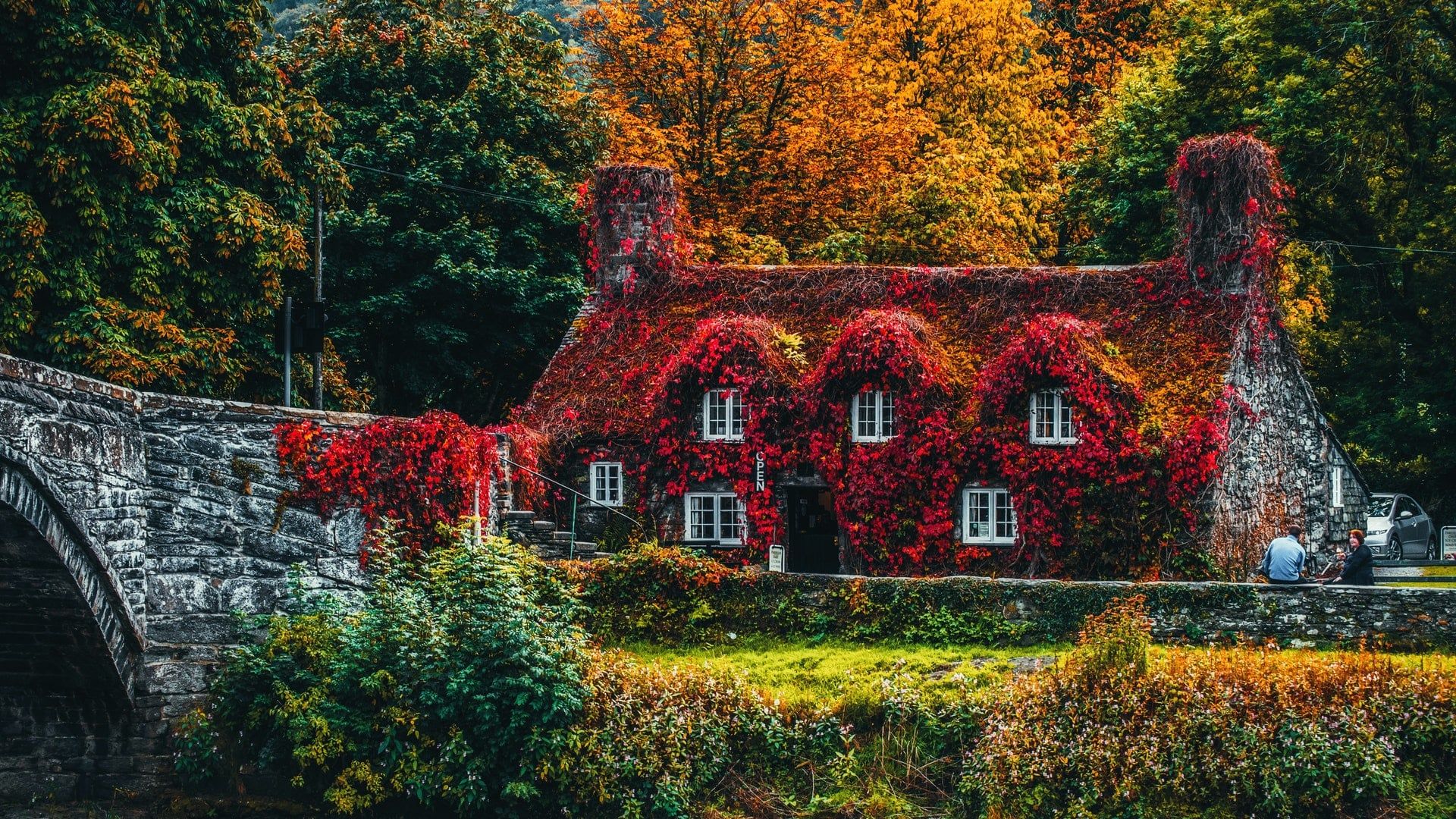 1920x1080 Fall colors in UK countryside [1920x1080]