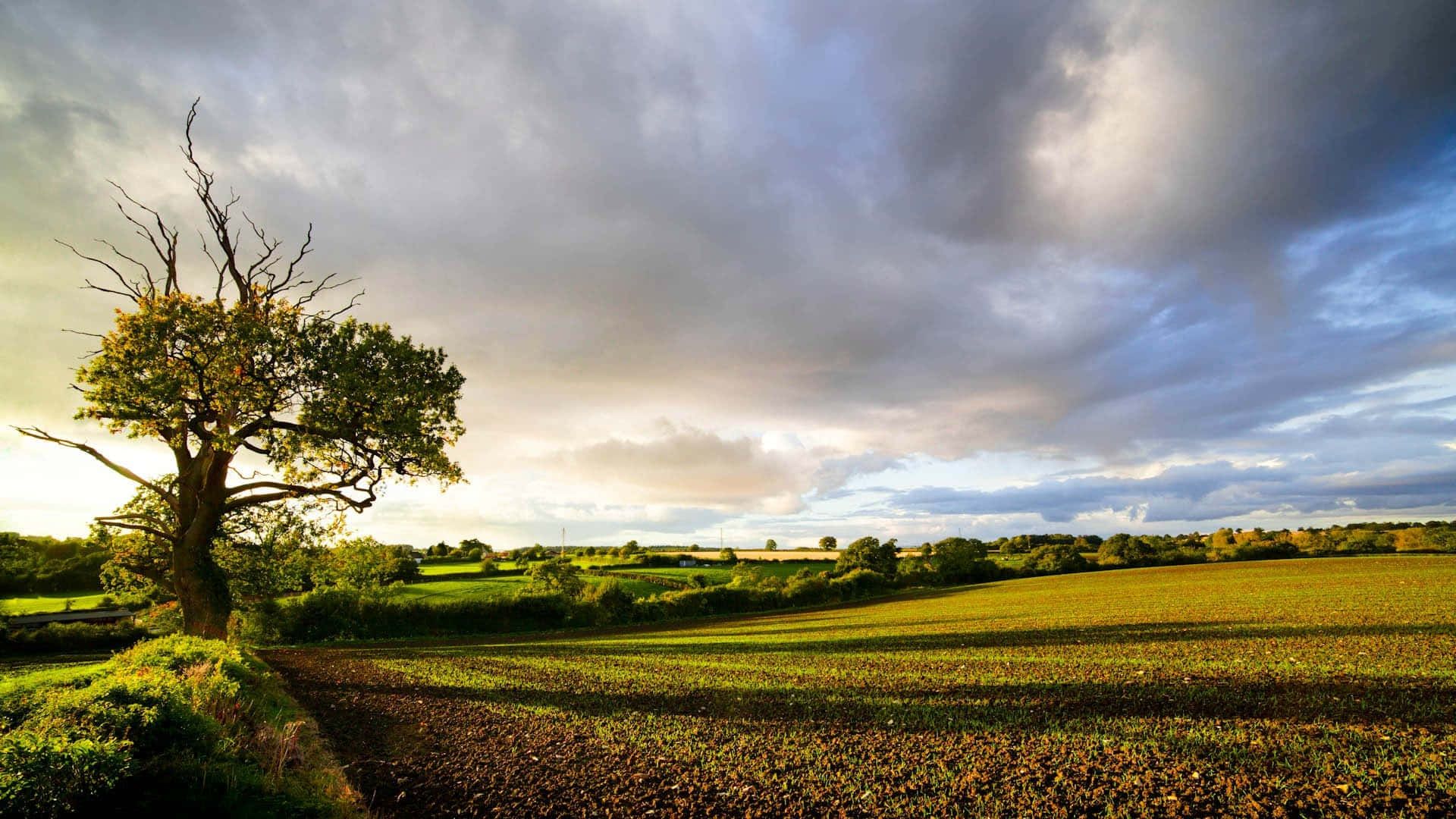 1920x1080 Download English Countryside And Cloudy Skies Wallpaper