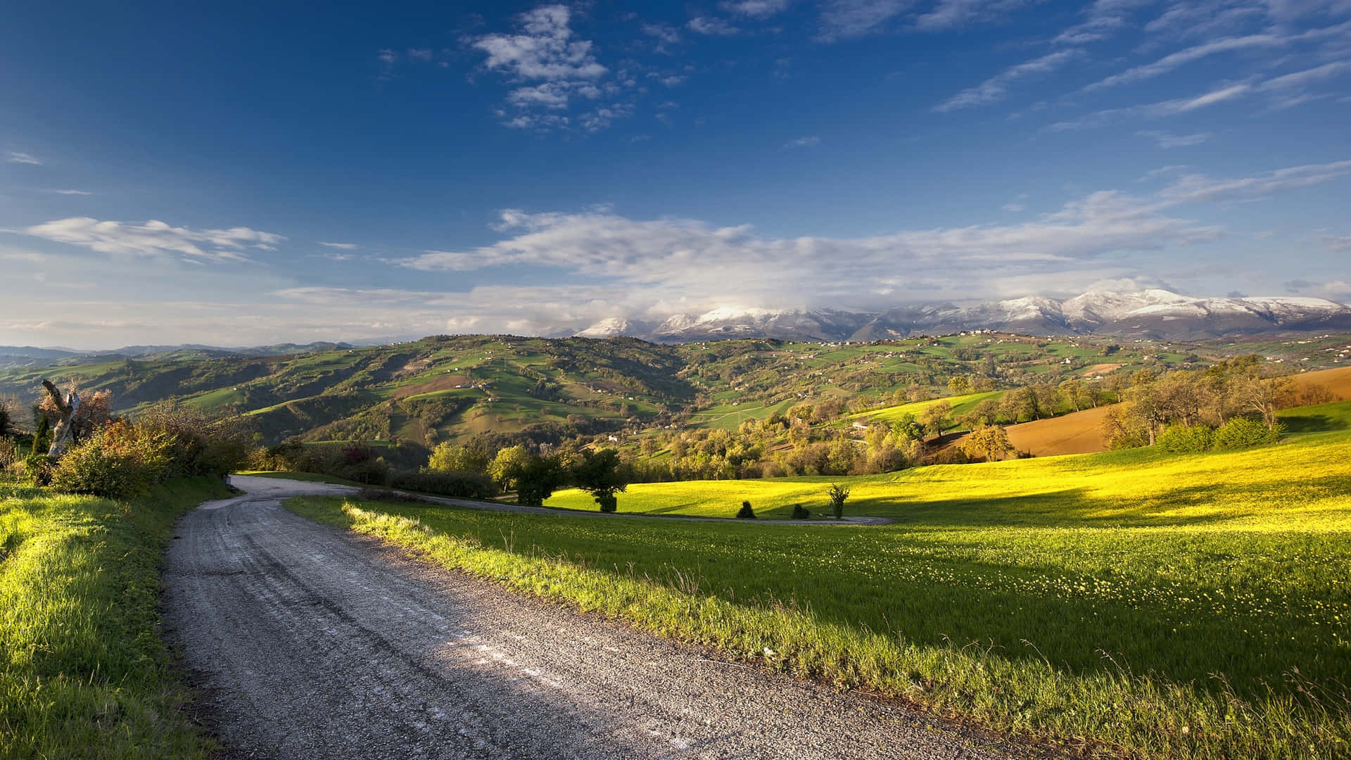 1920x1080 Download English Countryside Winding Road Landscape In Summer Wallpaper