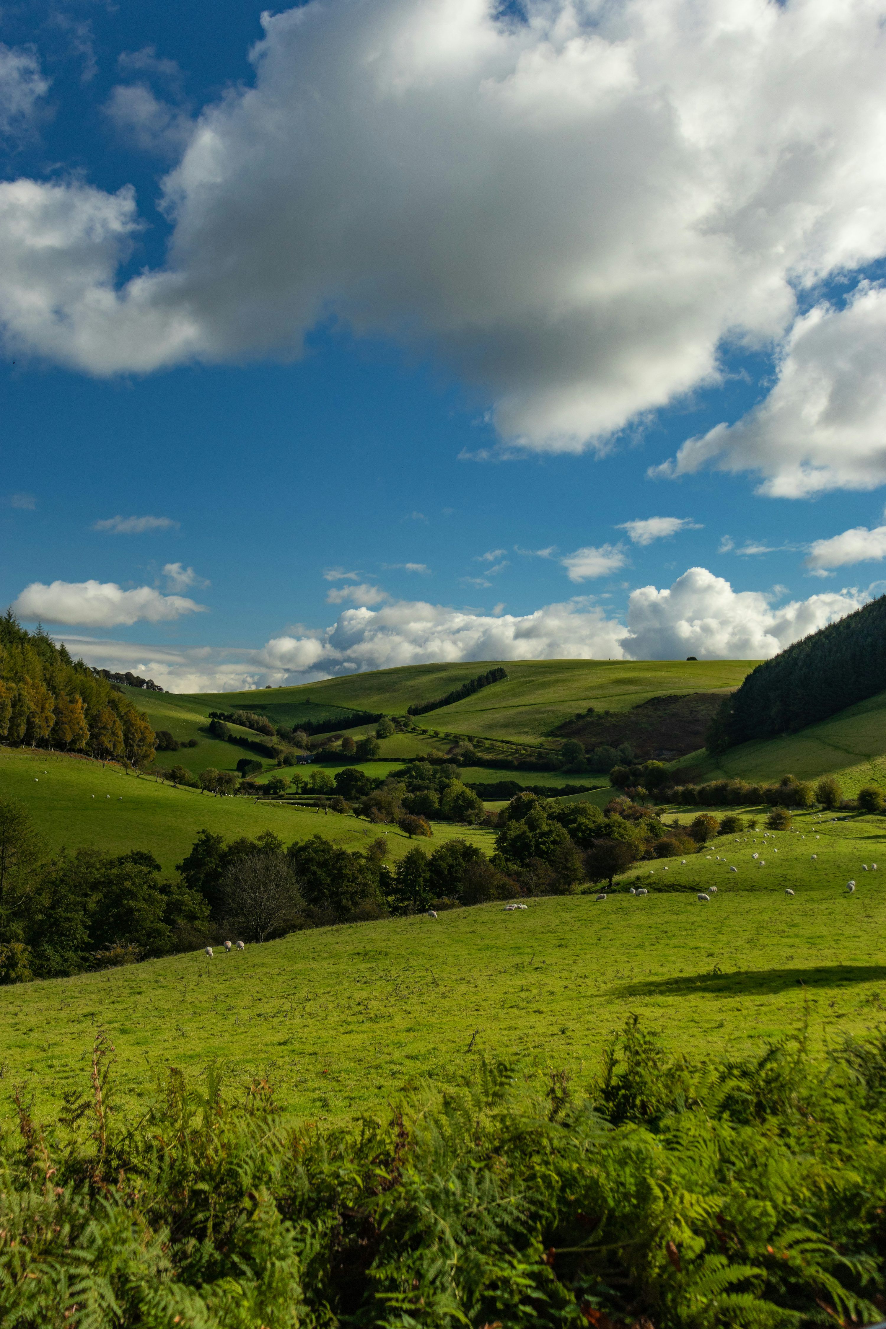 3000x4500 1K+ English Countryside Picture. Download Free Image