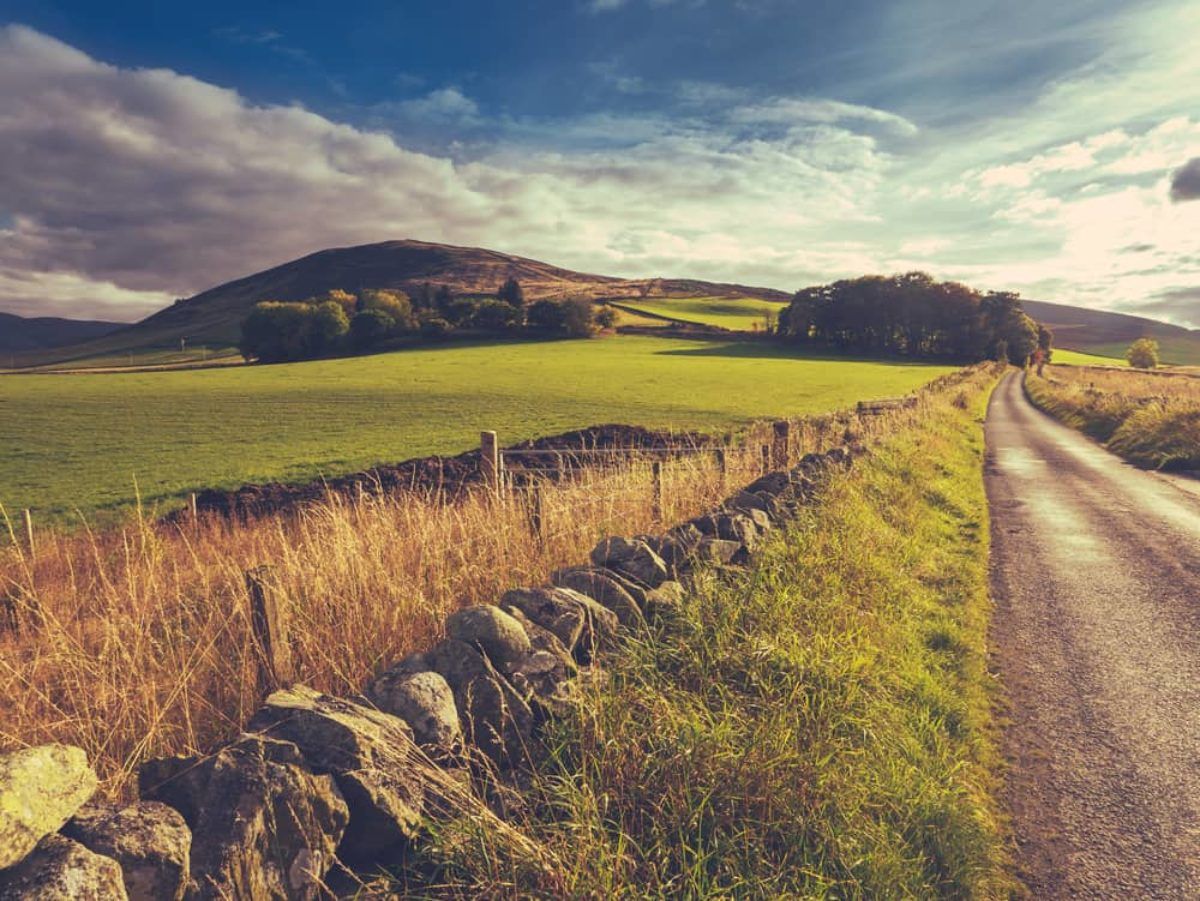 1200x901 Quintessential British Countryside experiences for nature lovers. Evan Evans Tours