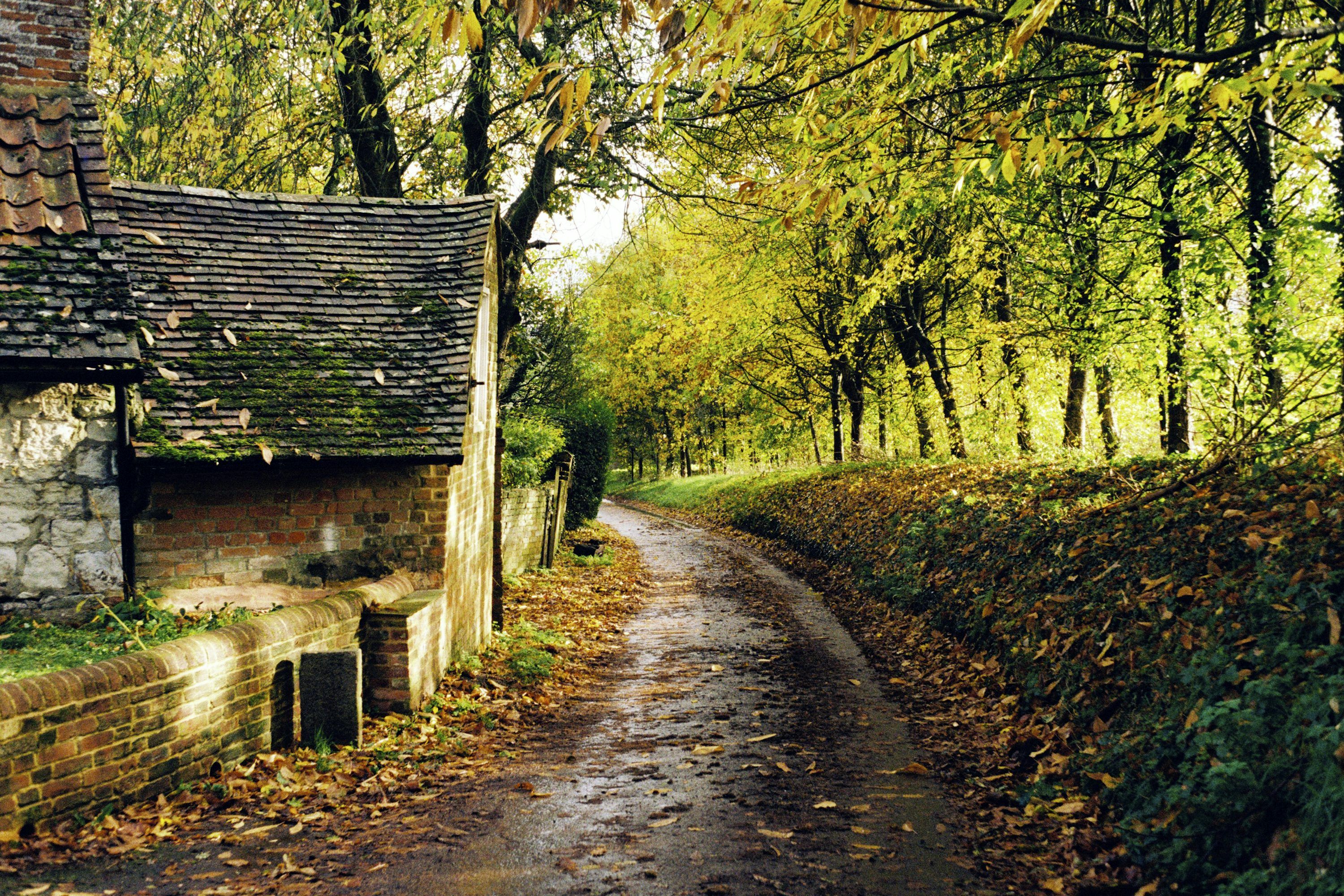 3000x2000 England Countryside Picture. Download Free Image