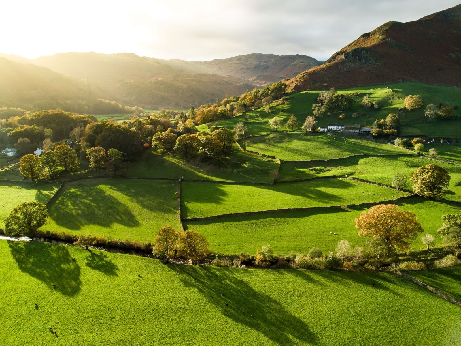 1600x1199 Experiencing Country Life in the UK