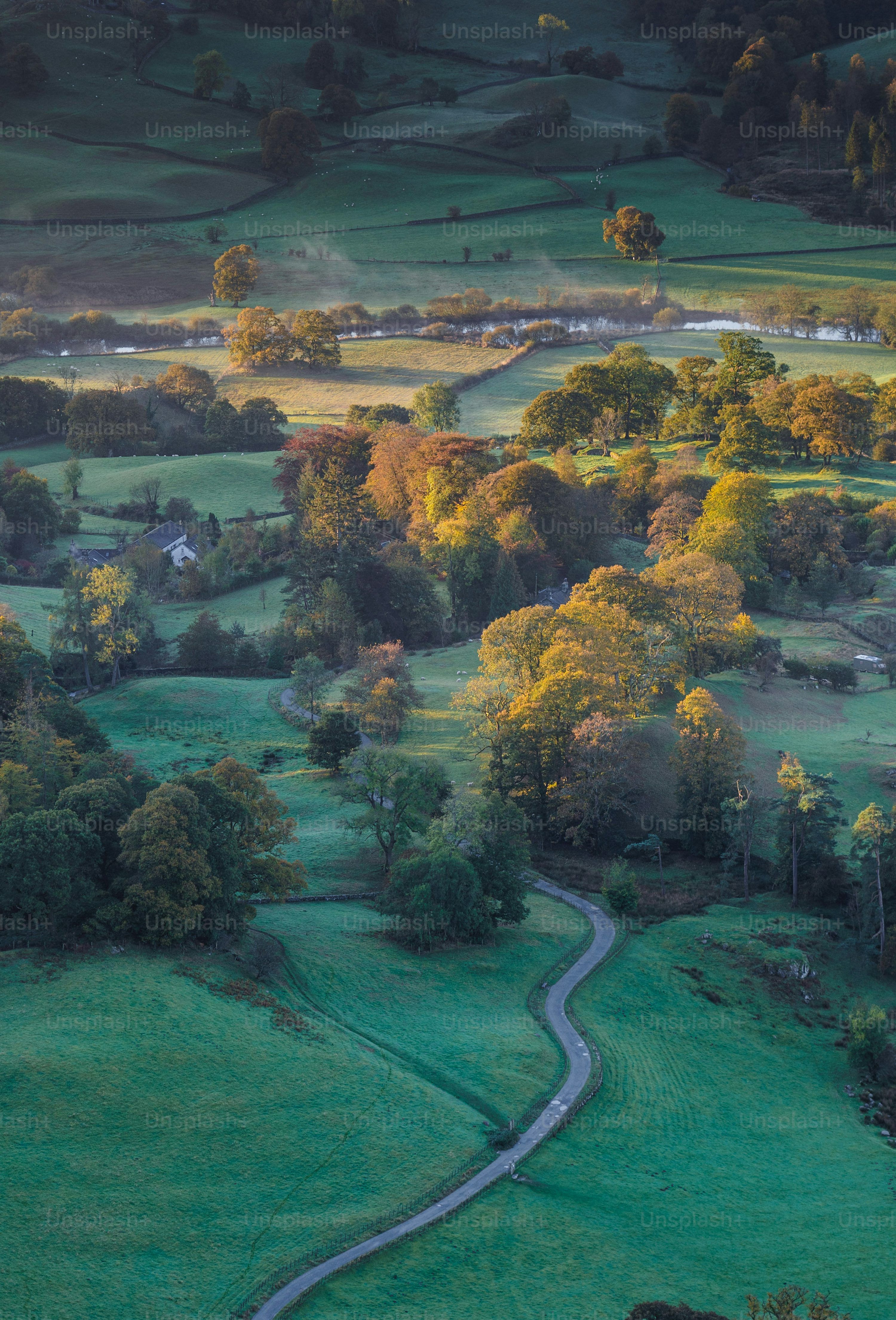 3000x4418 Uk Countryside Picture. Download Free Image