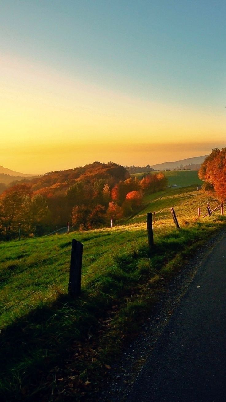 736x1308 Countryside Autumn Landscape Android Wallpaper