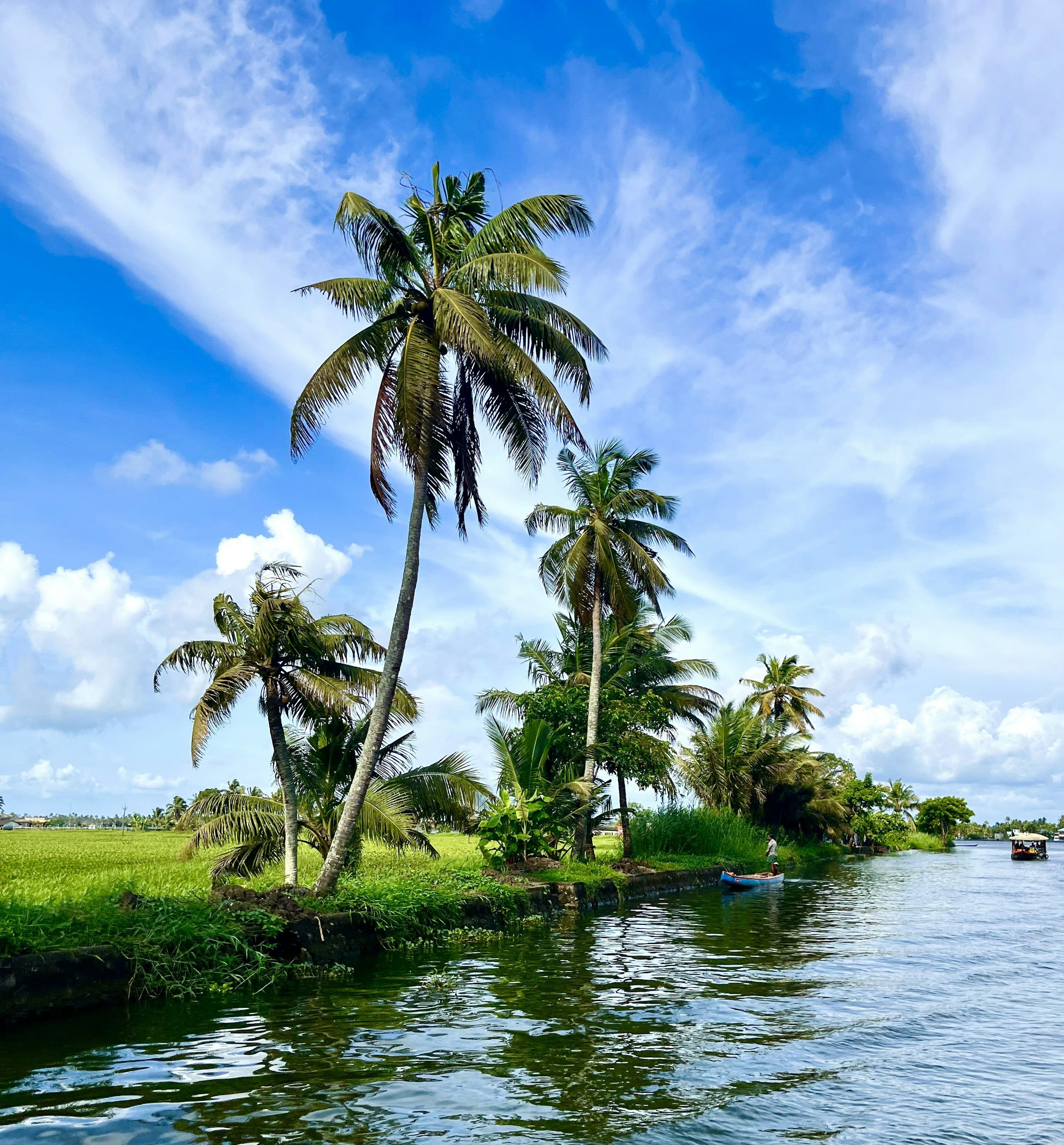 3000x3229 Alappuzha Picture. Download Free Image