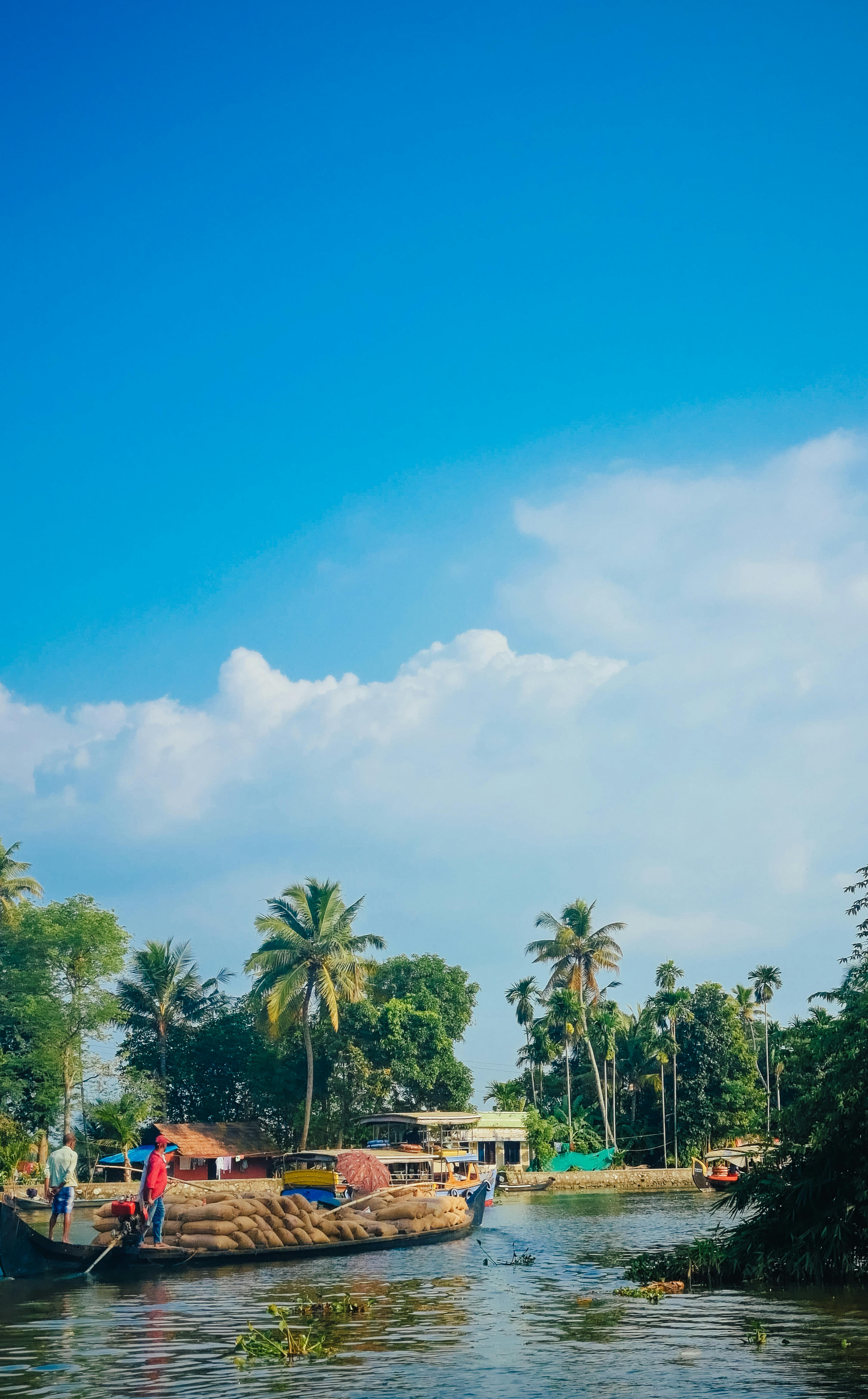 4033x6494 Scenic Kerala Backwaters with Colorful Boats · Free