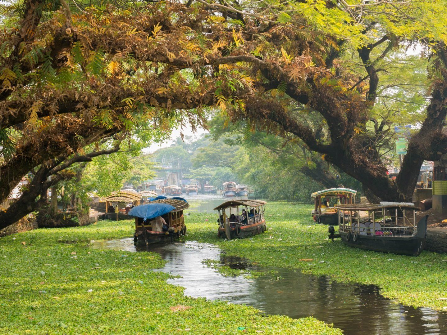1439x1080 Alleppey (Alappuzha). India Travel Guide