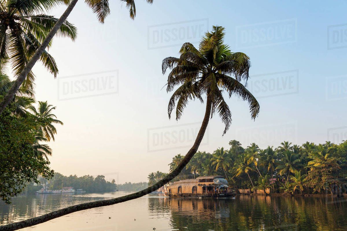 1200x800 Kerala Backwaters Near Alleppey (Alappuzha), Kerala, India Free