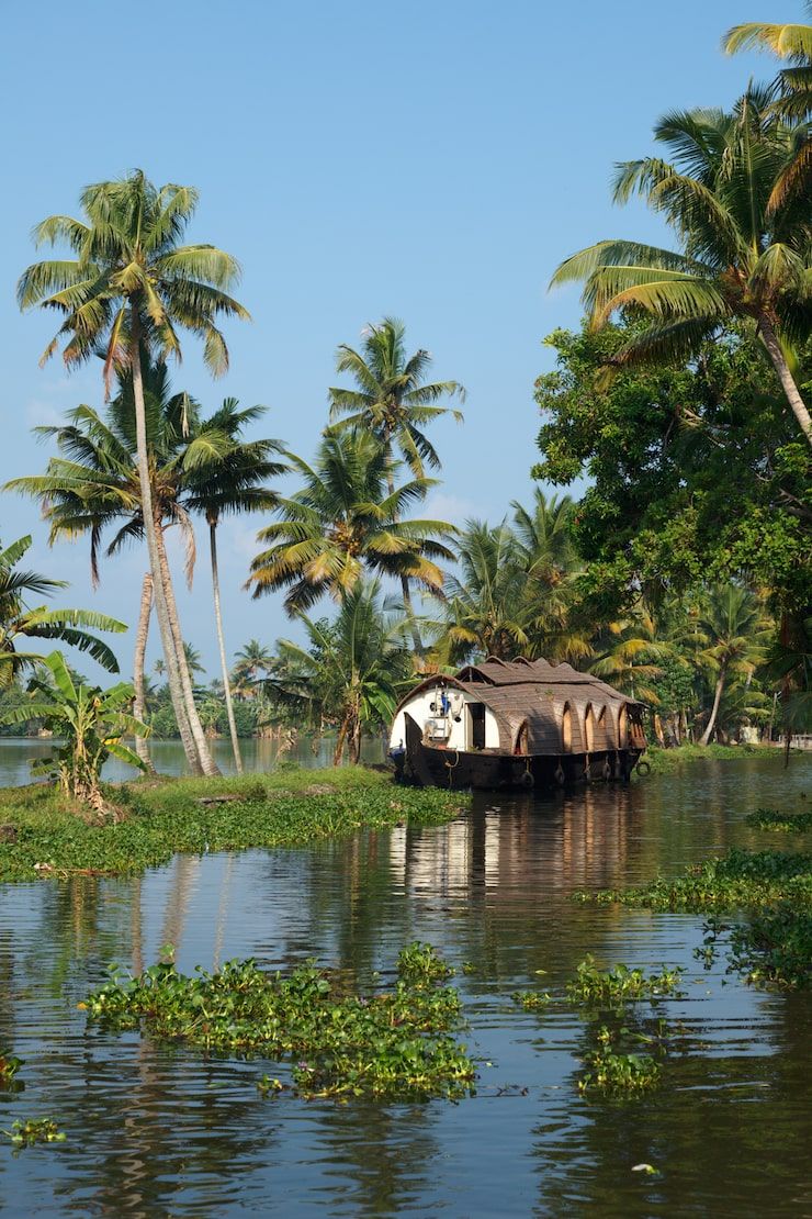 740x1110 Alleppey Image