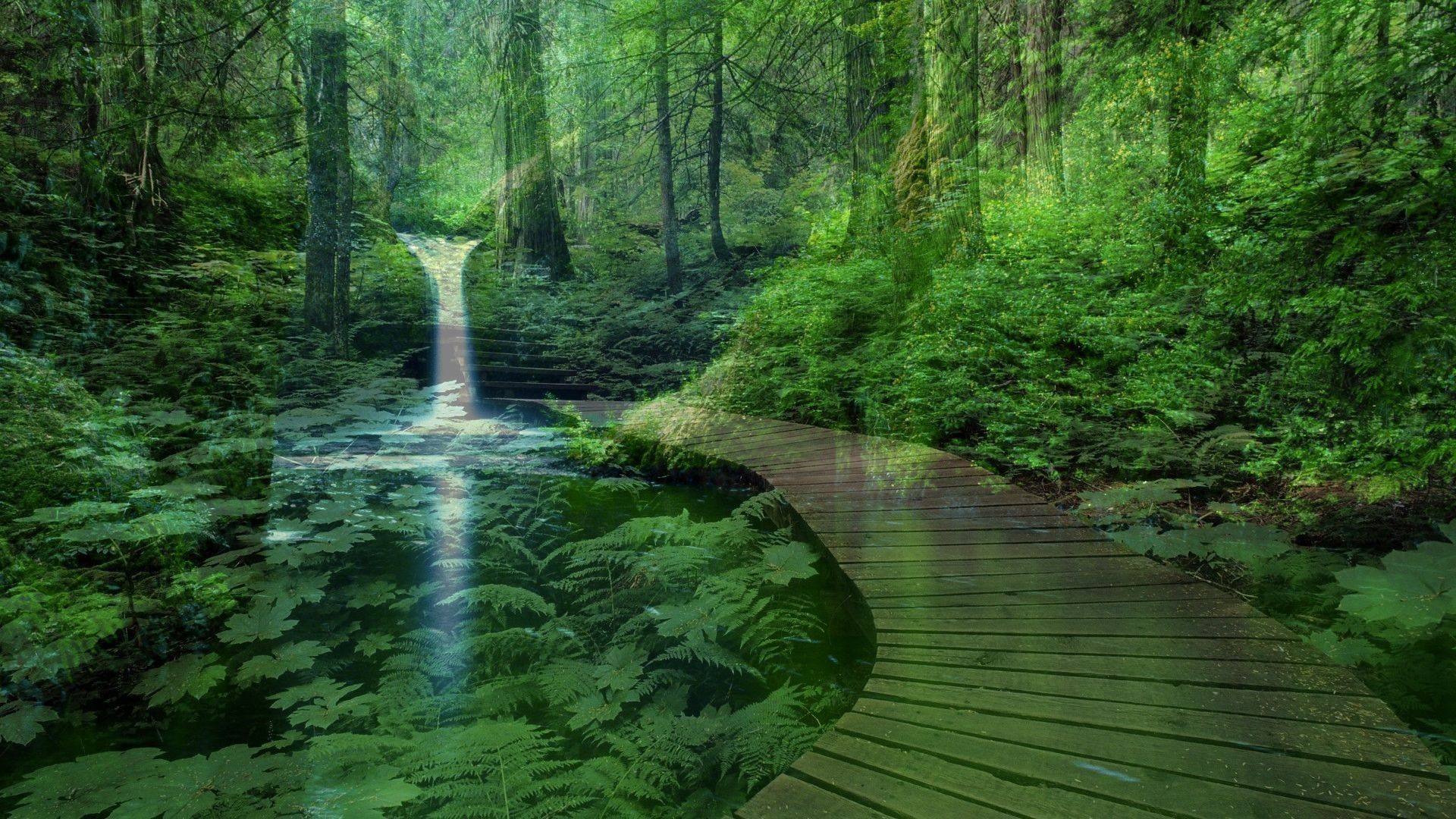 1920x1080 Wallpaper forest, nature, bridge, water, park, waterfall, pond, stairs for mobile and desktop, section природа, resolution 1920x1080