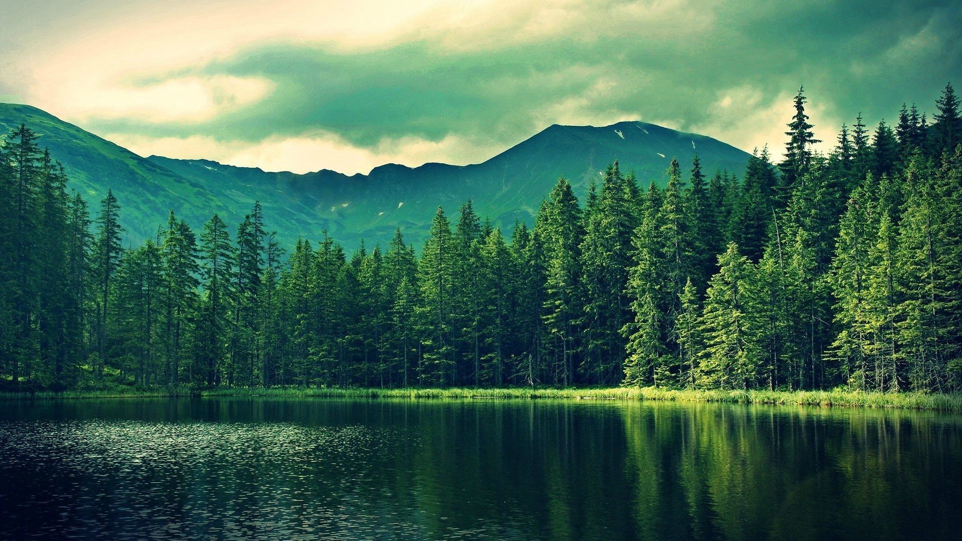 1920x1080 forest, Lake, Nature, Landscape Wallpaper HD / Desktop and Mobile Background