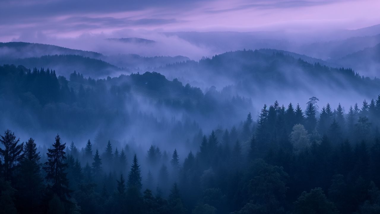 1280x720 Forest Wallpaper 4K, Fog