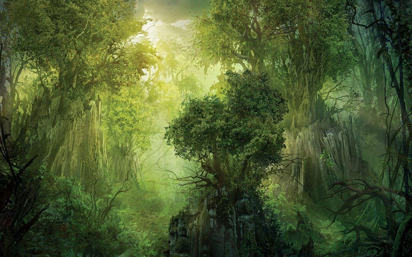 1440x900 Fantasy Forest HD Desktop Wallpaper 111351
