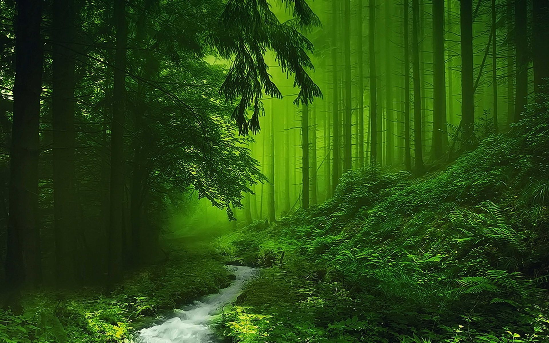 1920x1200 Desktop wallpaper: Nature, Greenery, Earth, Fog, Stream, Forest, Tree 4K free download for PC. 740092