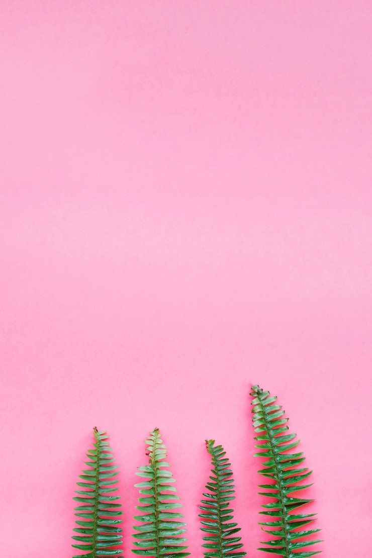 740x1110 Pink Wallpaper Tablet Photo Free High Quality Picture