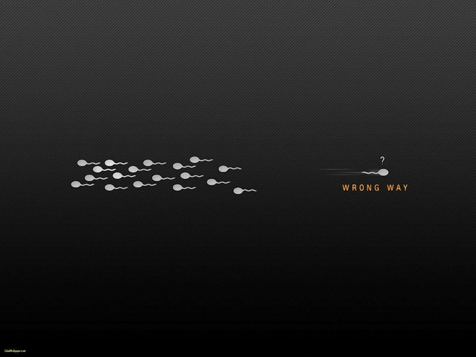 1600x1200 Quantum Mechanics Wallpaper