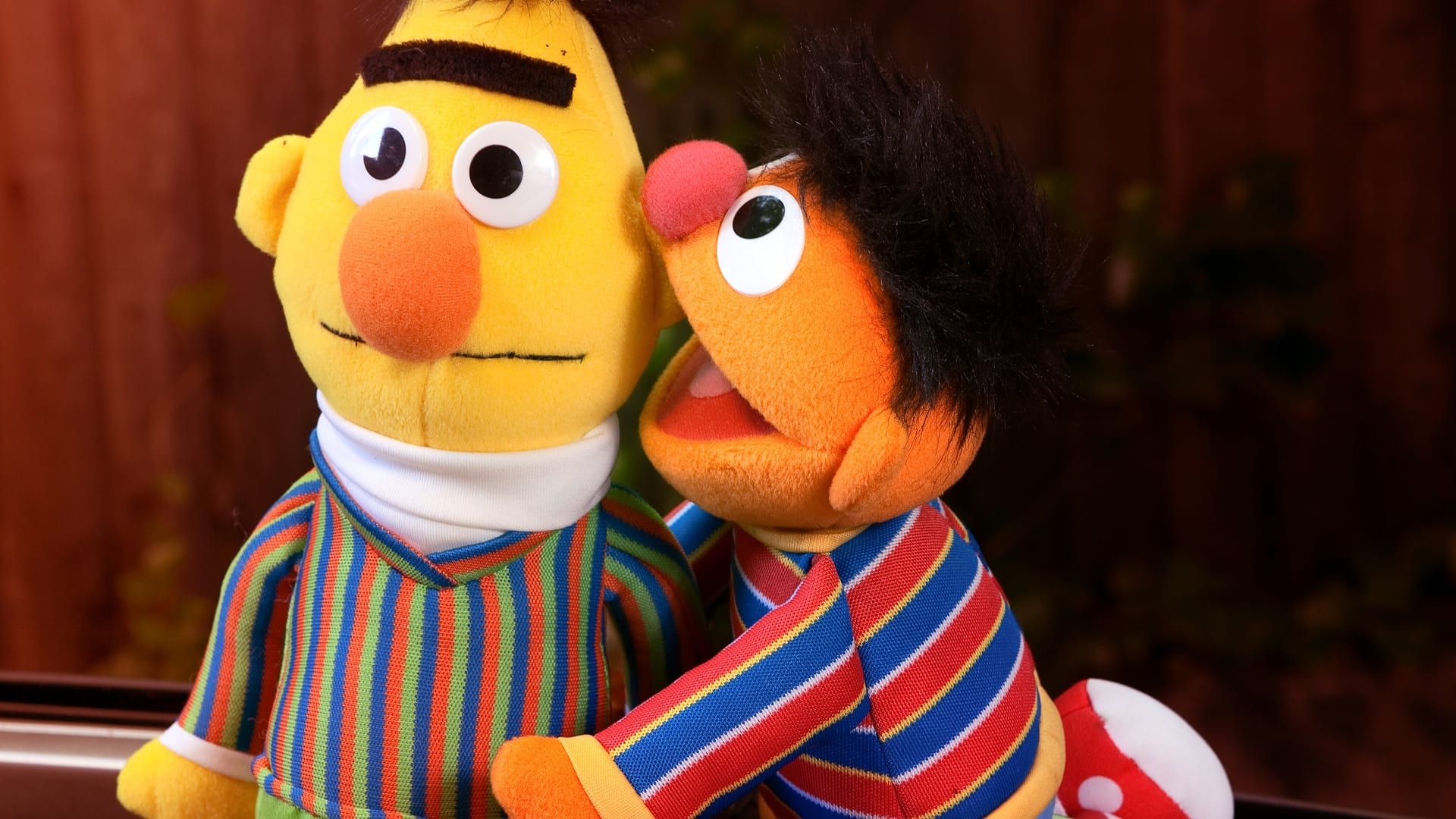 1920x1080 Sesame Street writer confirms Bert and Ernie were a couple