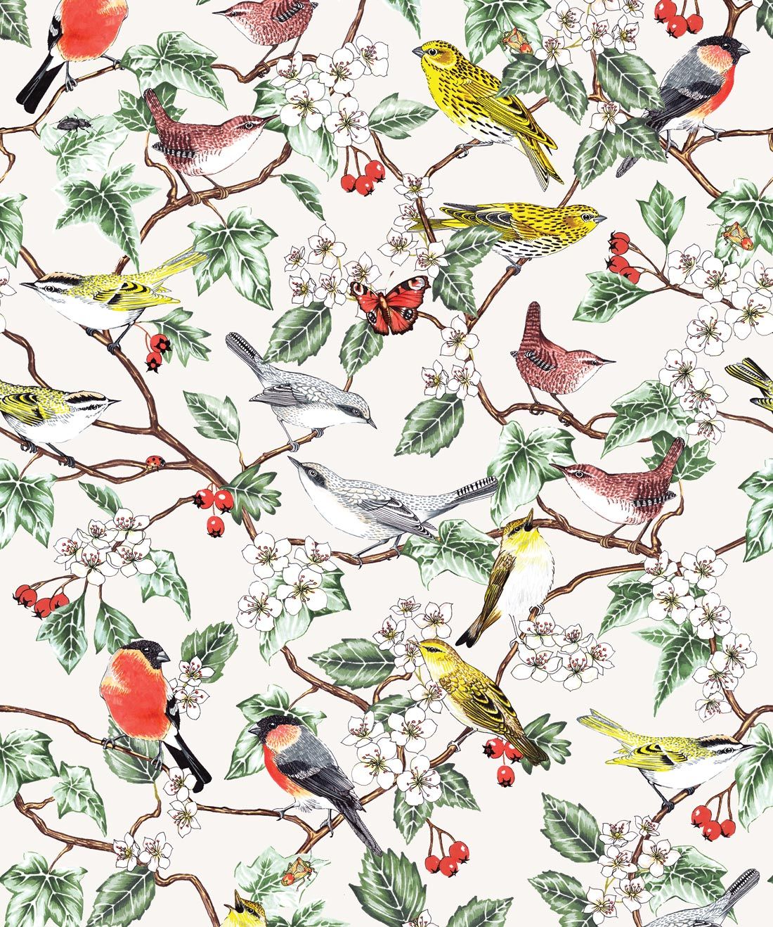 1100x1318 Hawthorn, A Celebration of Botanical Bird Wallpaper