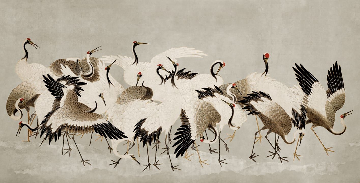 1415x720 Amazing Bird Wallpaper for 2026