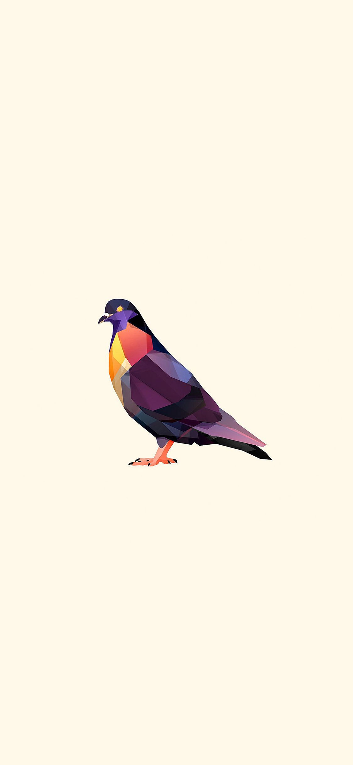 1125x2436 iPhoneXpapers pigeon bird illust art