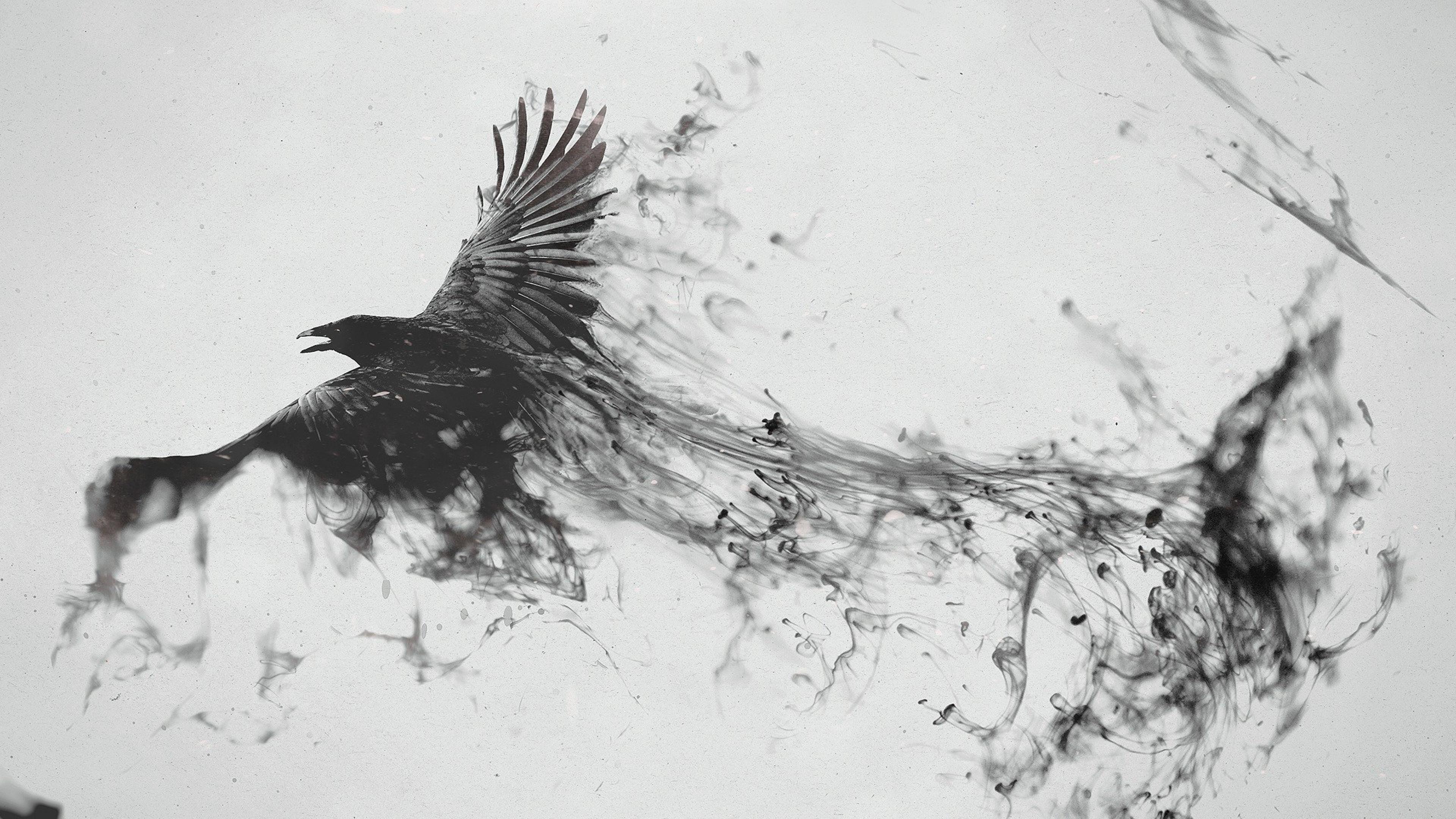 3840x2160 Bird Drawing Wallpaper