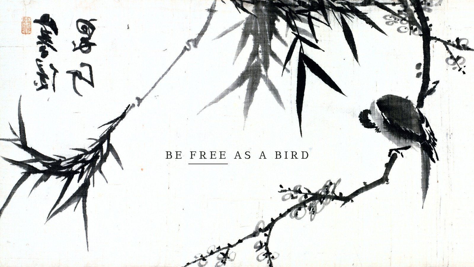 1600x900 Free and customizable bird wallpaper templates