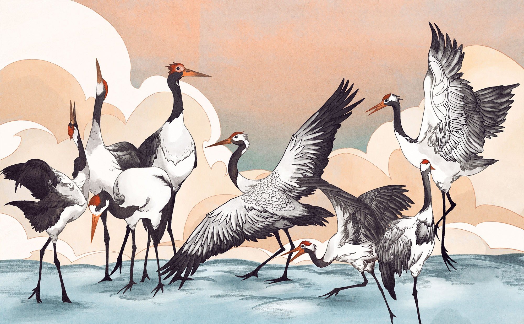 2000x1236 Illustrated Cranes Bird Wallpaper Mural
