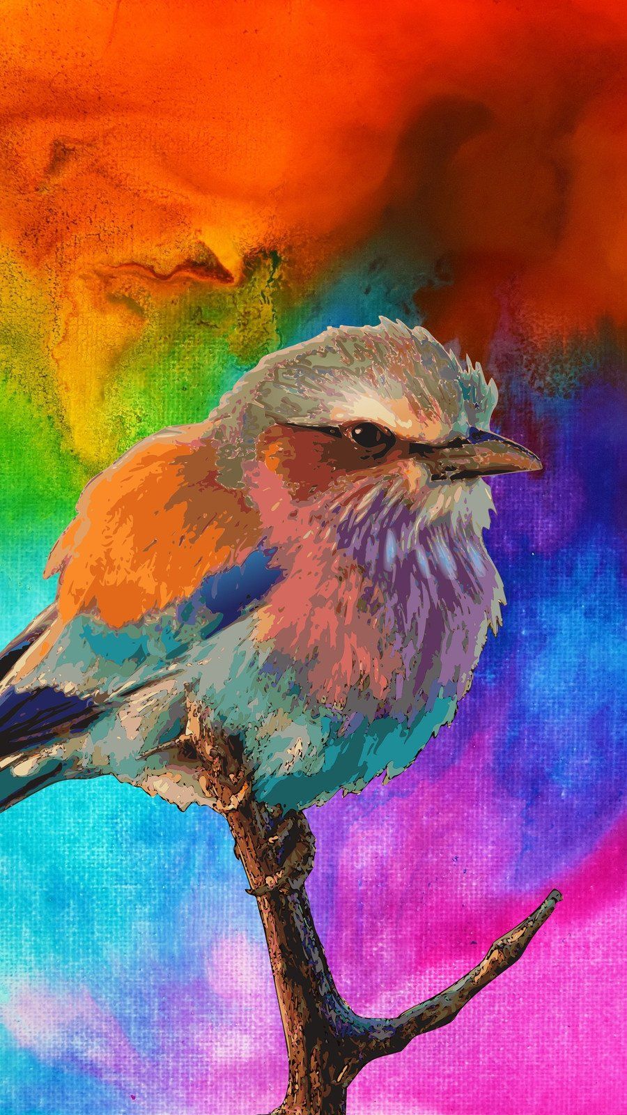 900x1600 Free and customizable bird wallpaper templates