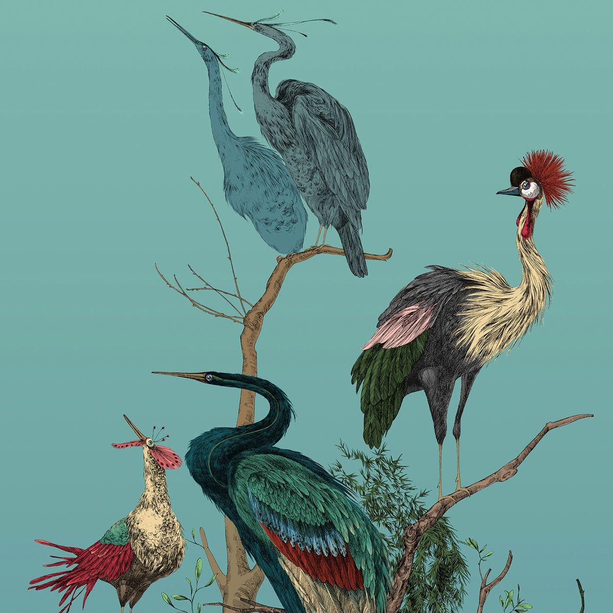 1200x1200 Edmond Petit Gran's Birds Wallpaper