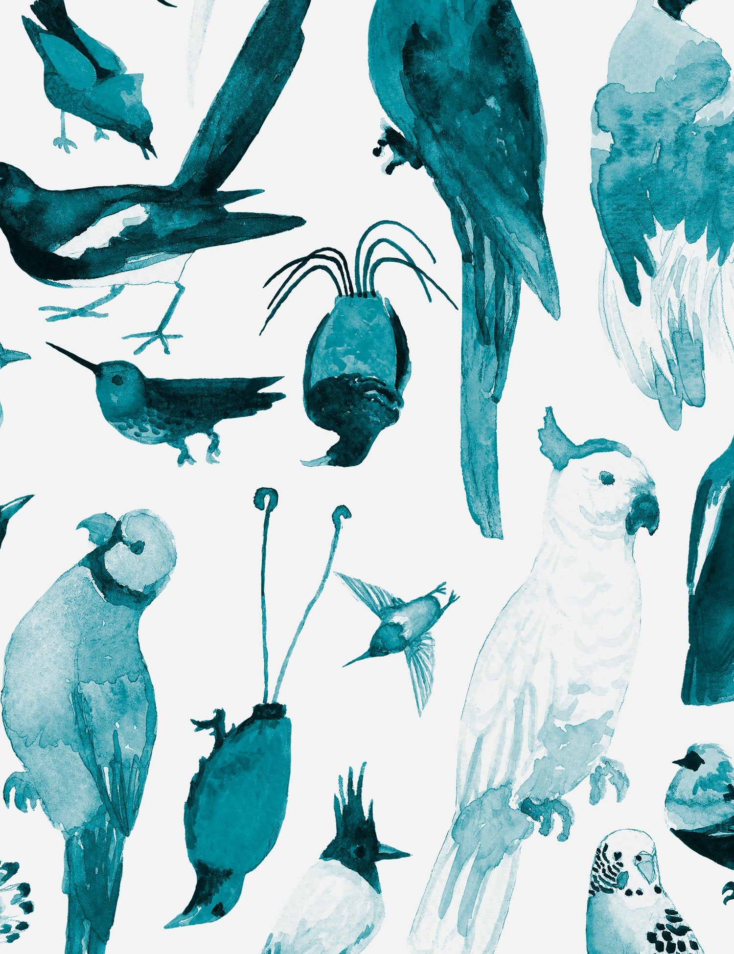 1500x1950 Paradise Birds Designer Wallpaper by Aimée Wilder. Made in the USA