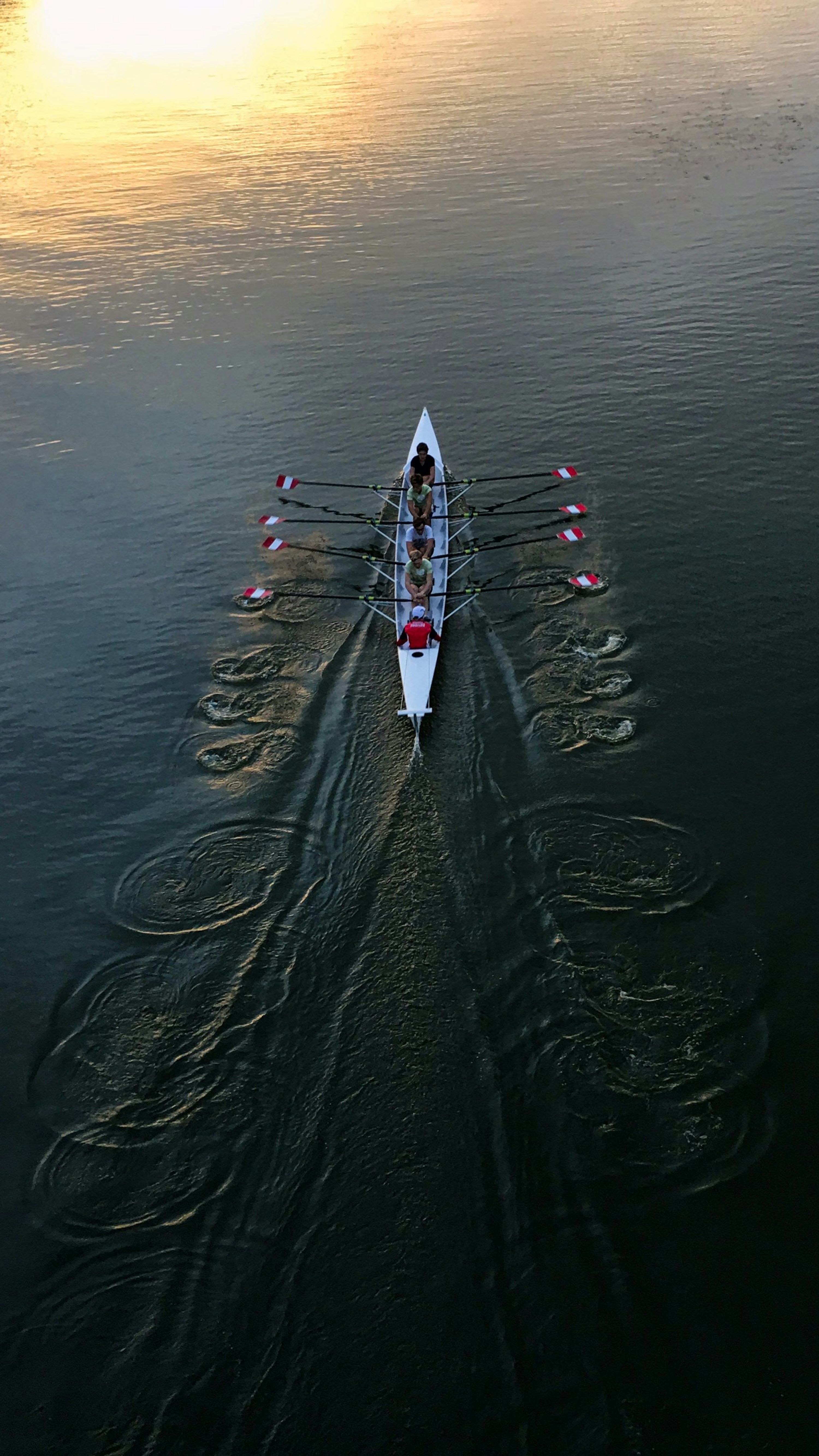 3000x5331 Rowing Boat Picture. Download Free Image