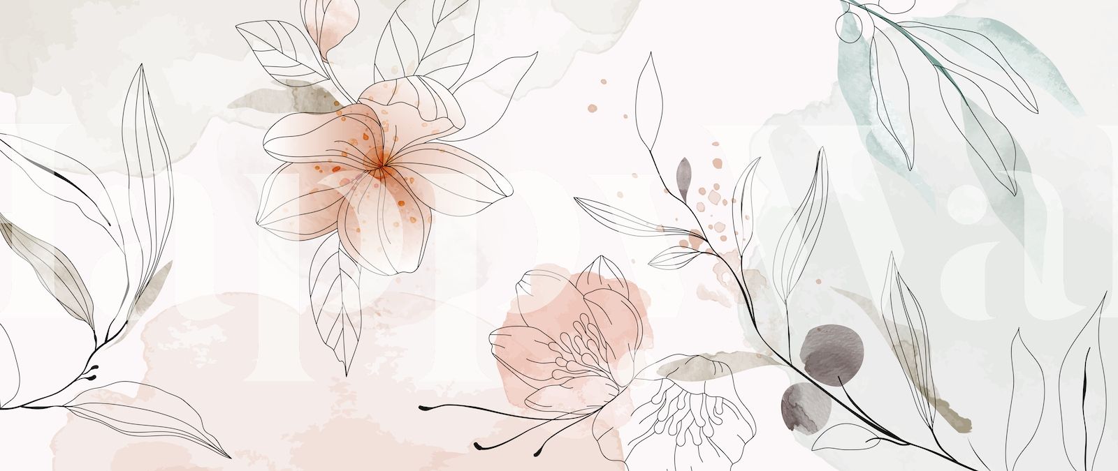 1600x675 Botanical Line Art Wallpaper