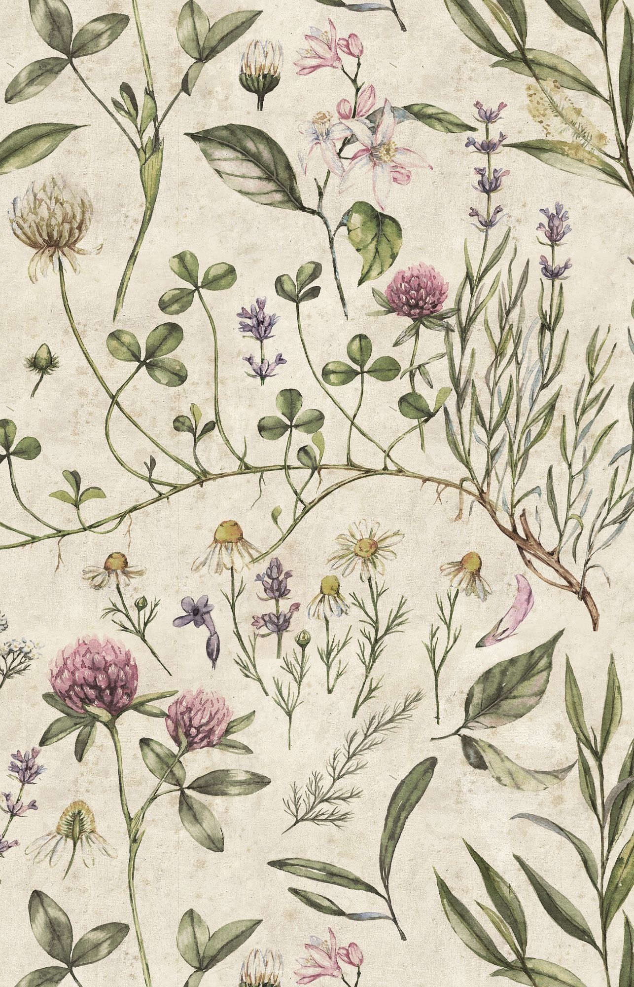 1286x2000 VINTAGE Botanic Illustration Wallpaper 100x280CM
