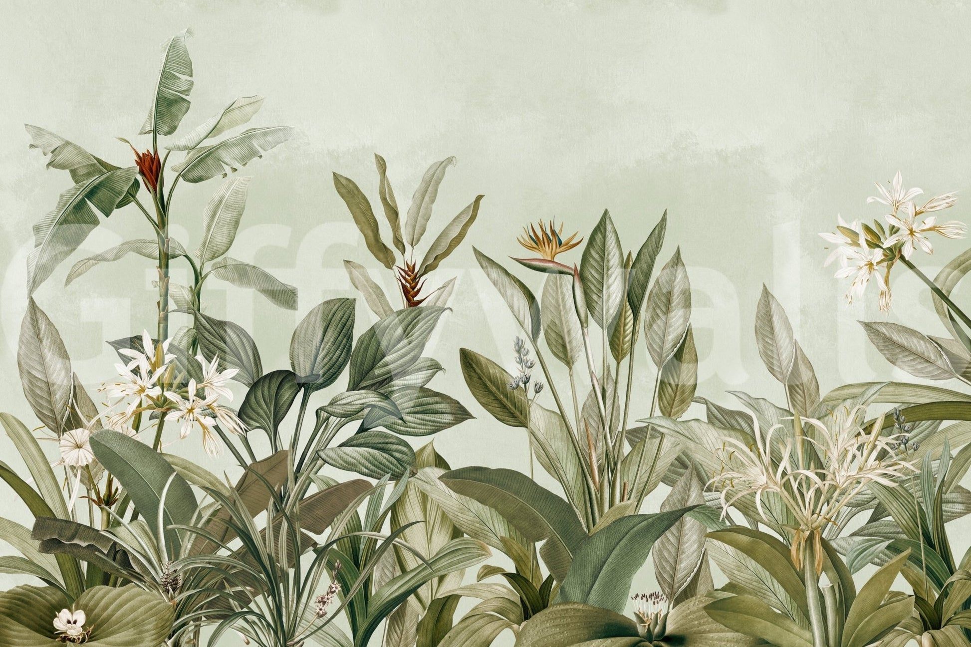 1946x1297 Botanical Serenity Wall Mural