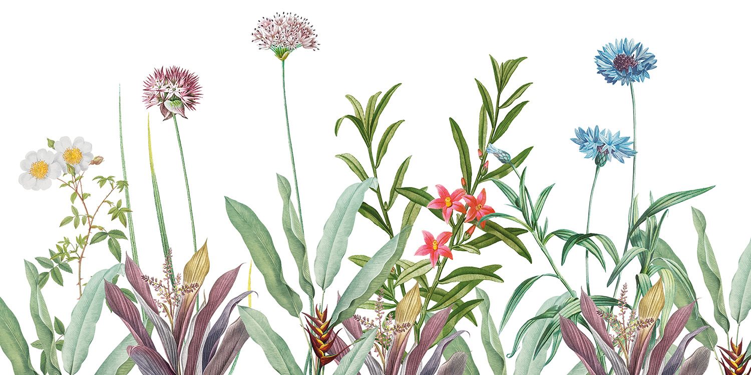 1500x750 Botanical greyscale wallpaper mural