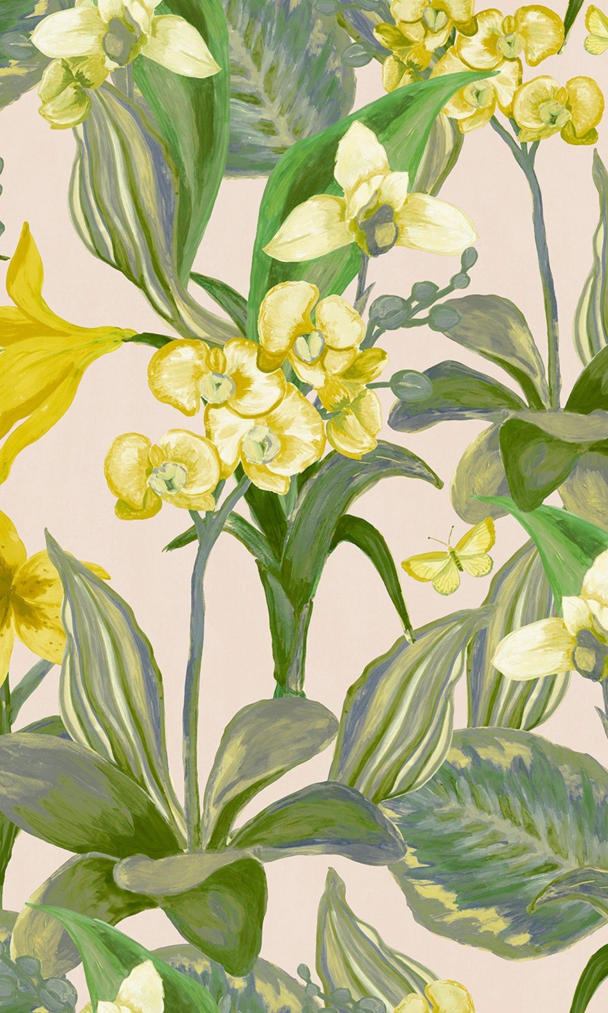 1200x2000 Cr‚àö¬Æme & Green Hand Painted Orchids Floral Wallpaper R8141