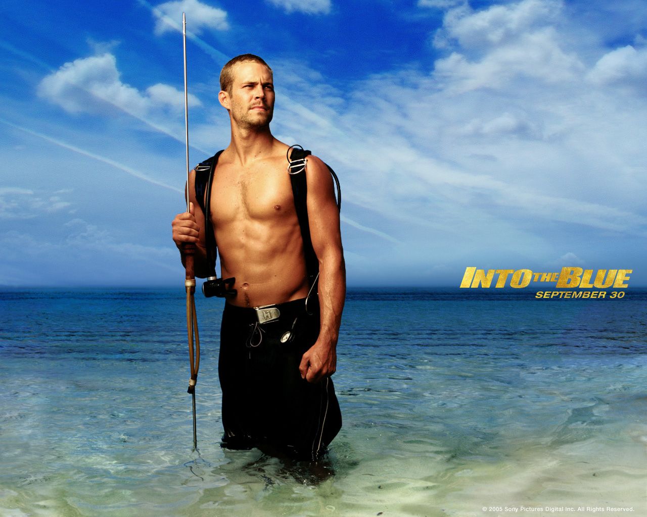 1280x1024 Into The Blue Wallpaper