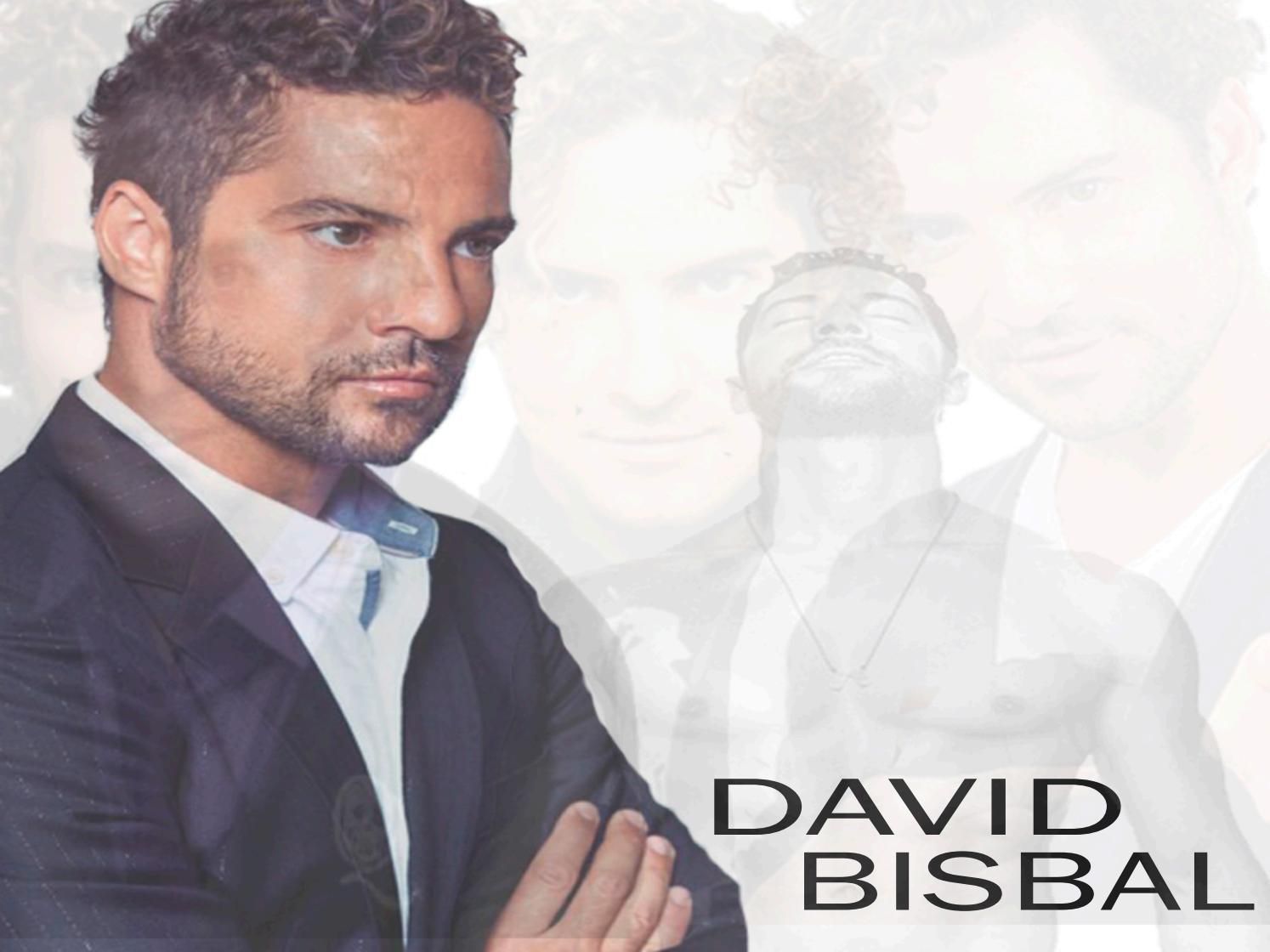 1494x1120 David Bisbal Wallpaper