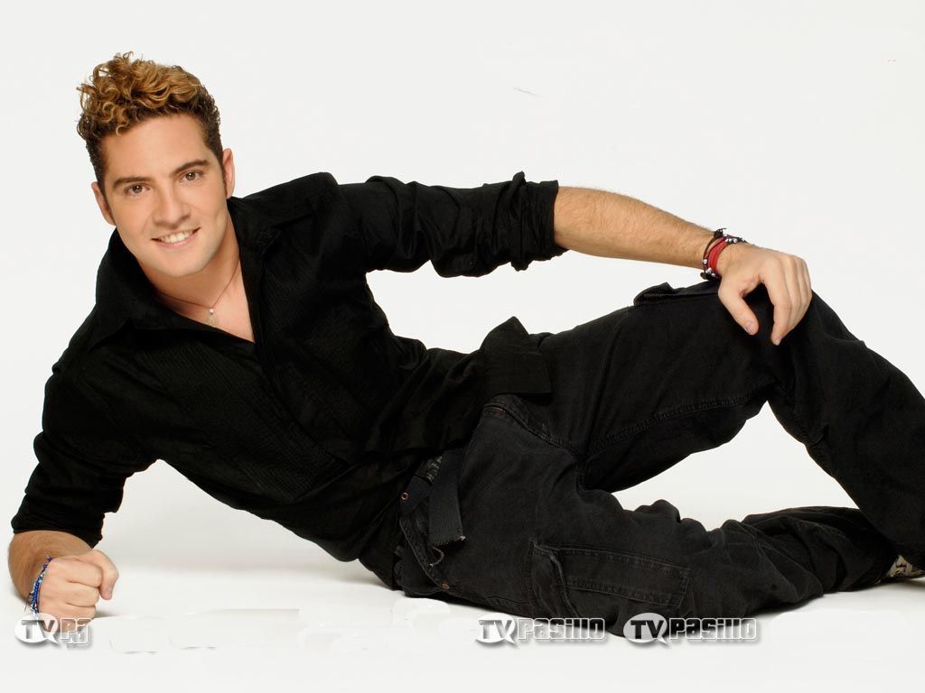 1024x768 David Bisbal Wallpaper