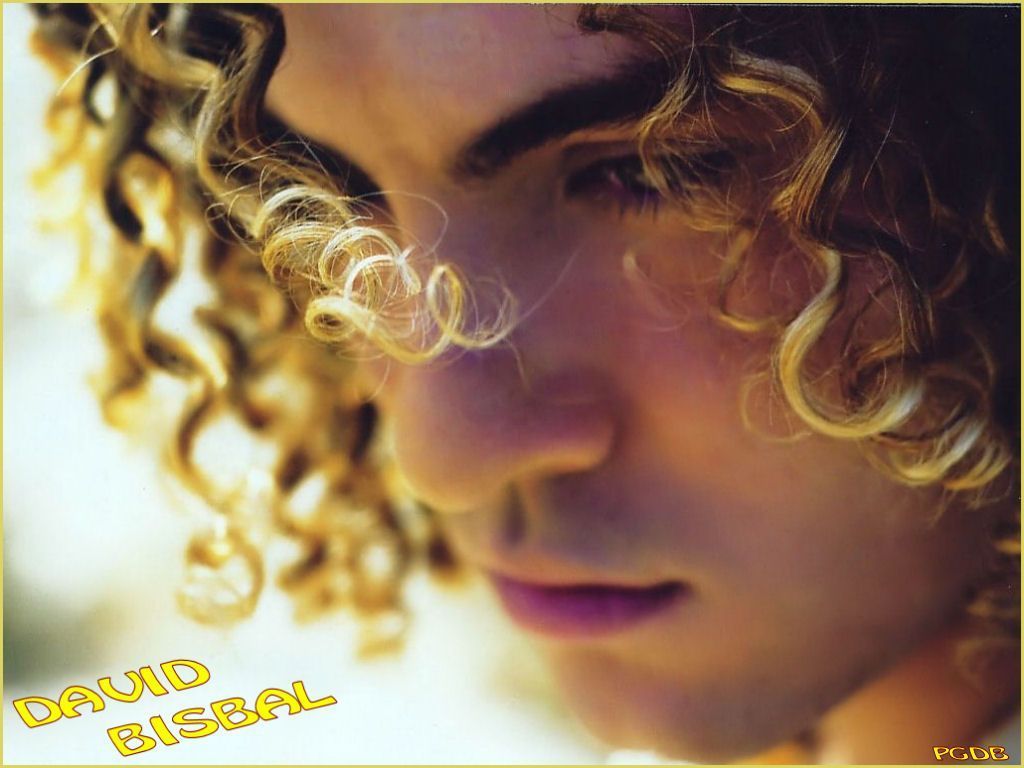 1024x768 David Bisbal Wallpaper