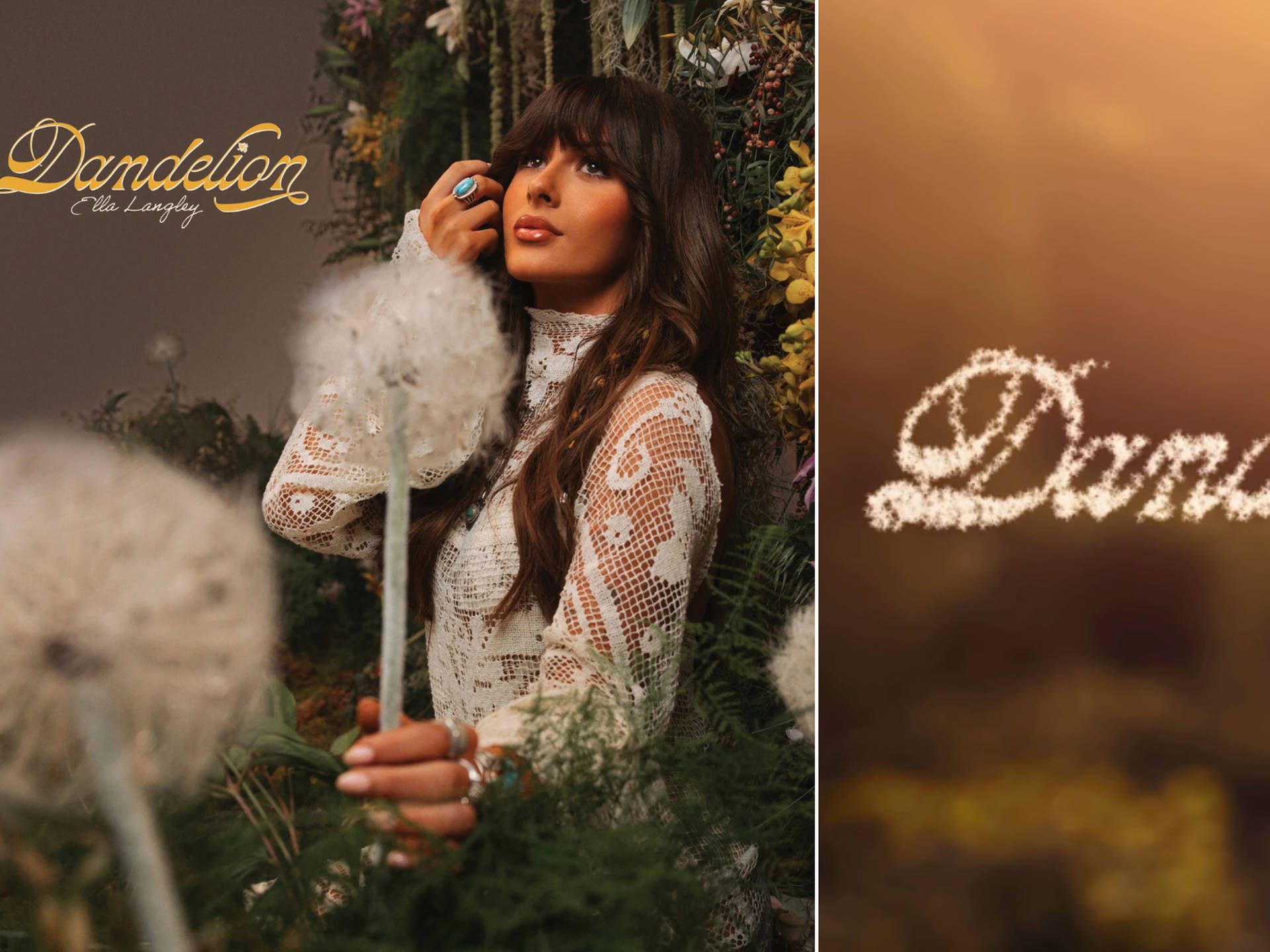 1920x1440 Ella Langley Dandelion: New album release date, songs and more