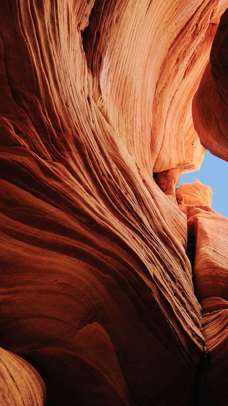 736x1308 Photographer of Iconic Windows XP Desktop Image Shoots Three New Smartphone Wallpaper