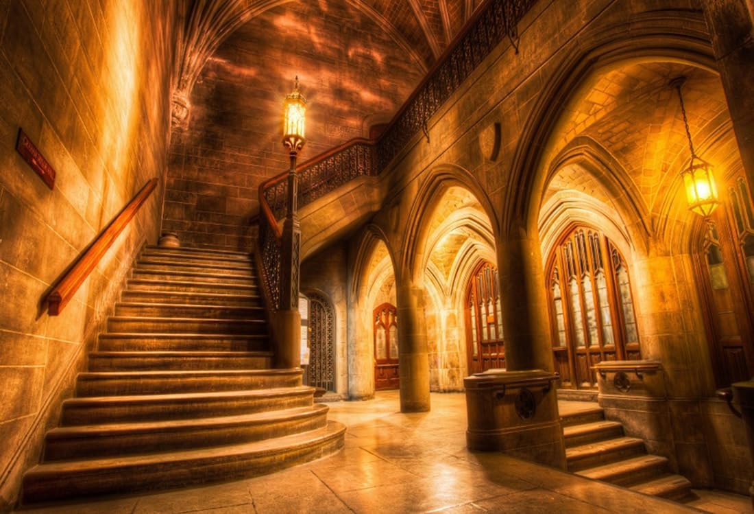 1100x749 Amazon.com : AOFOTO 7x5ft Vintage Medieval Castle Interior Backdrop Retro Archway Columns Photography Background Old Stairway Dim Light Architecture Pillars Photo Studio Props Artistic Portrait Vinyl Wallpaper
