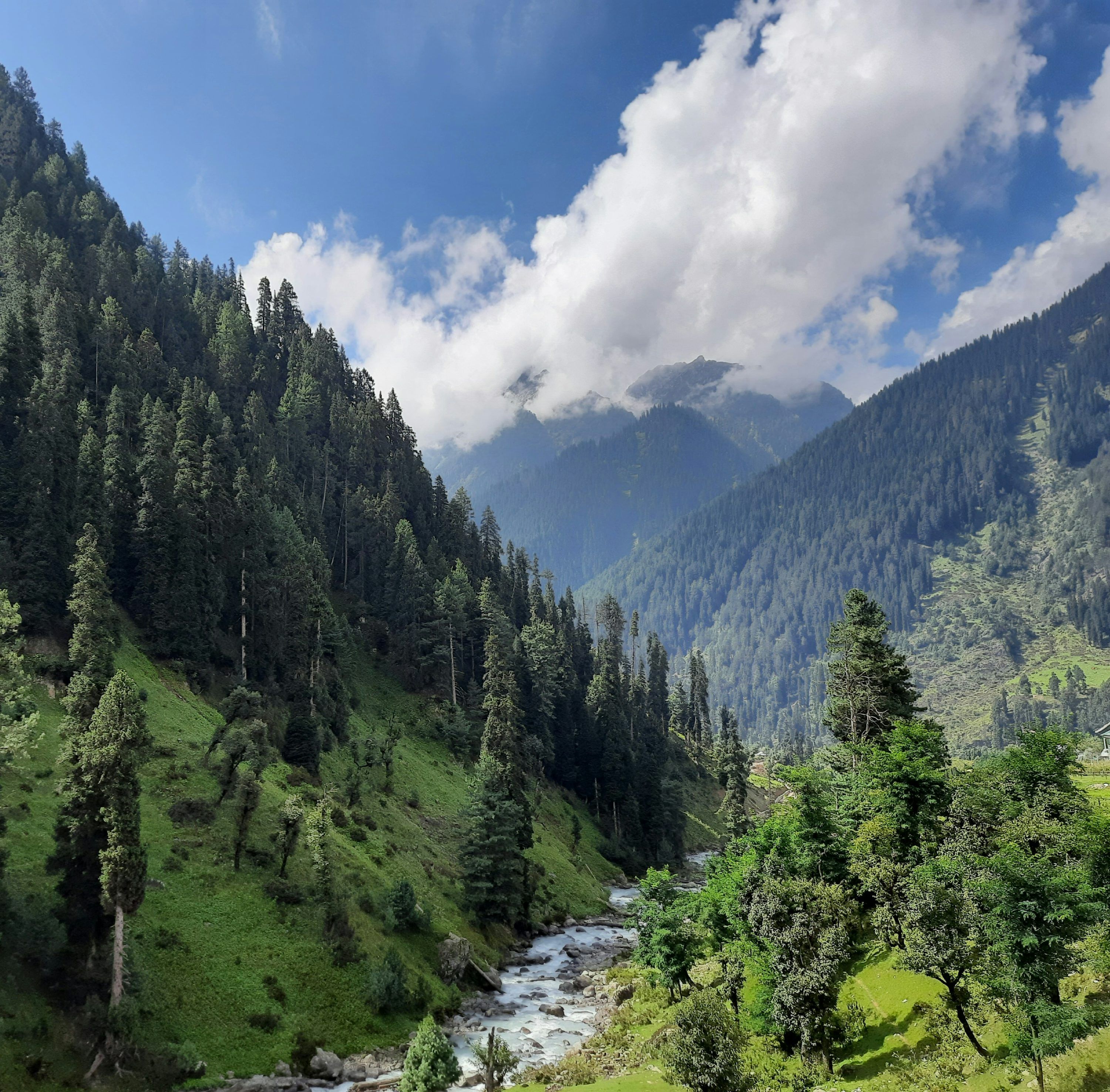3000x2950 Kashmir Valley Picture. Download Free Image
