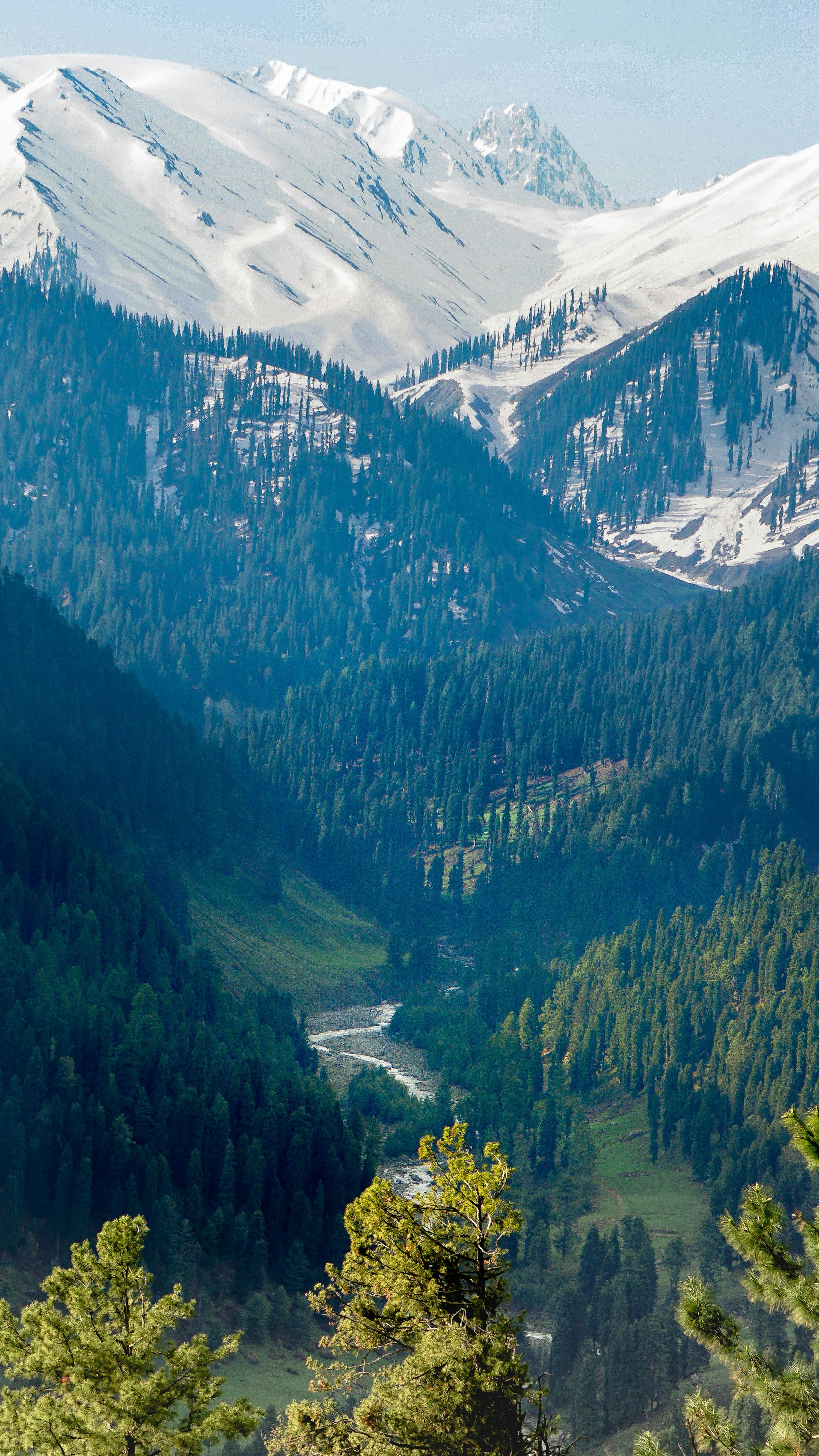 3000x5331 Kashmir Valley Picture. Download Free Image