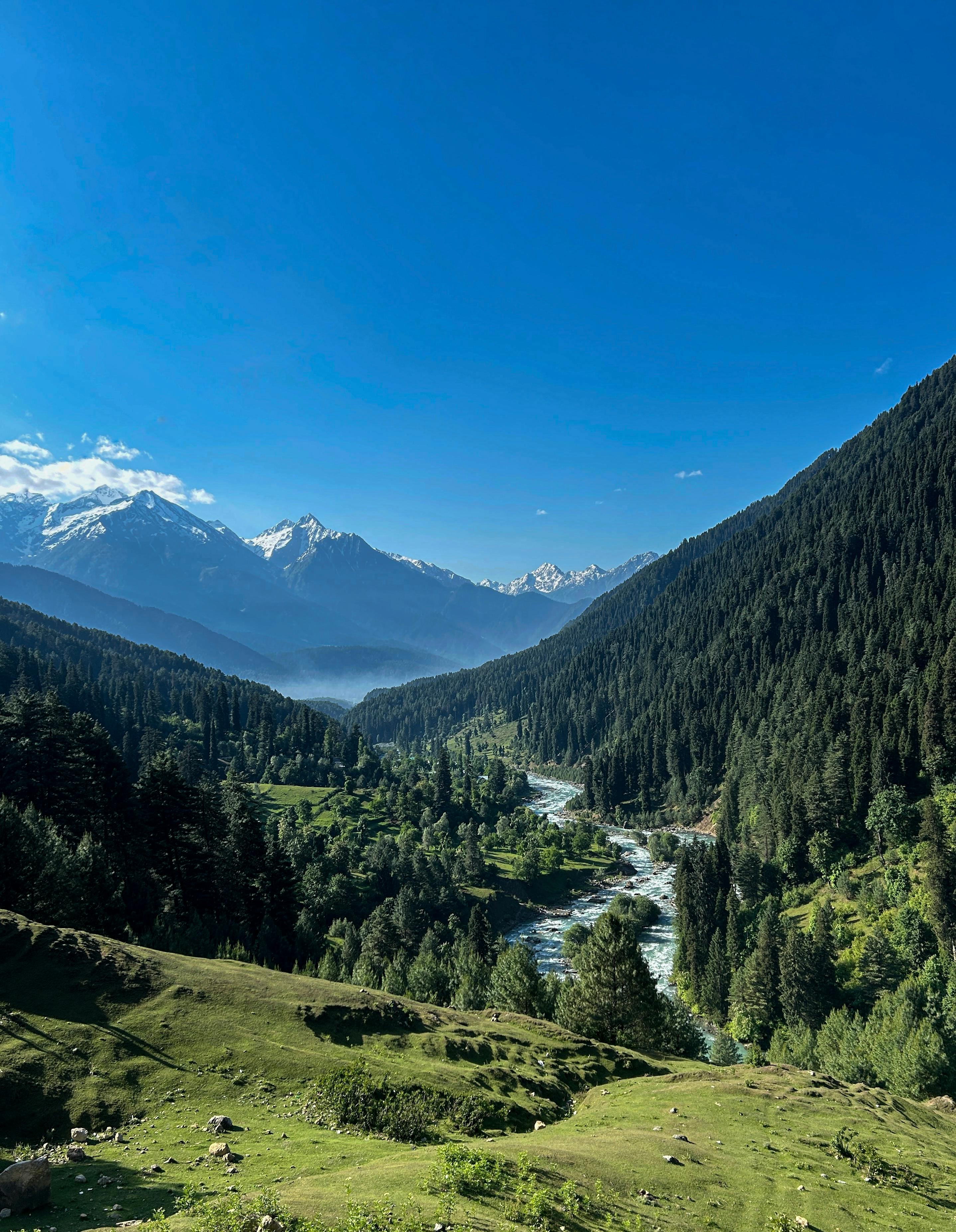 2876x3708 Kashmir Valley Photo, Download The BEST Free Kashmir Valley & HD Image