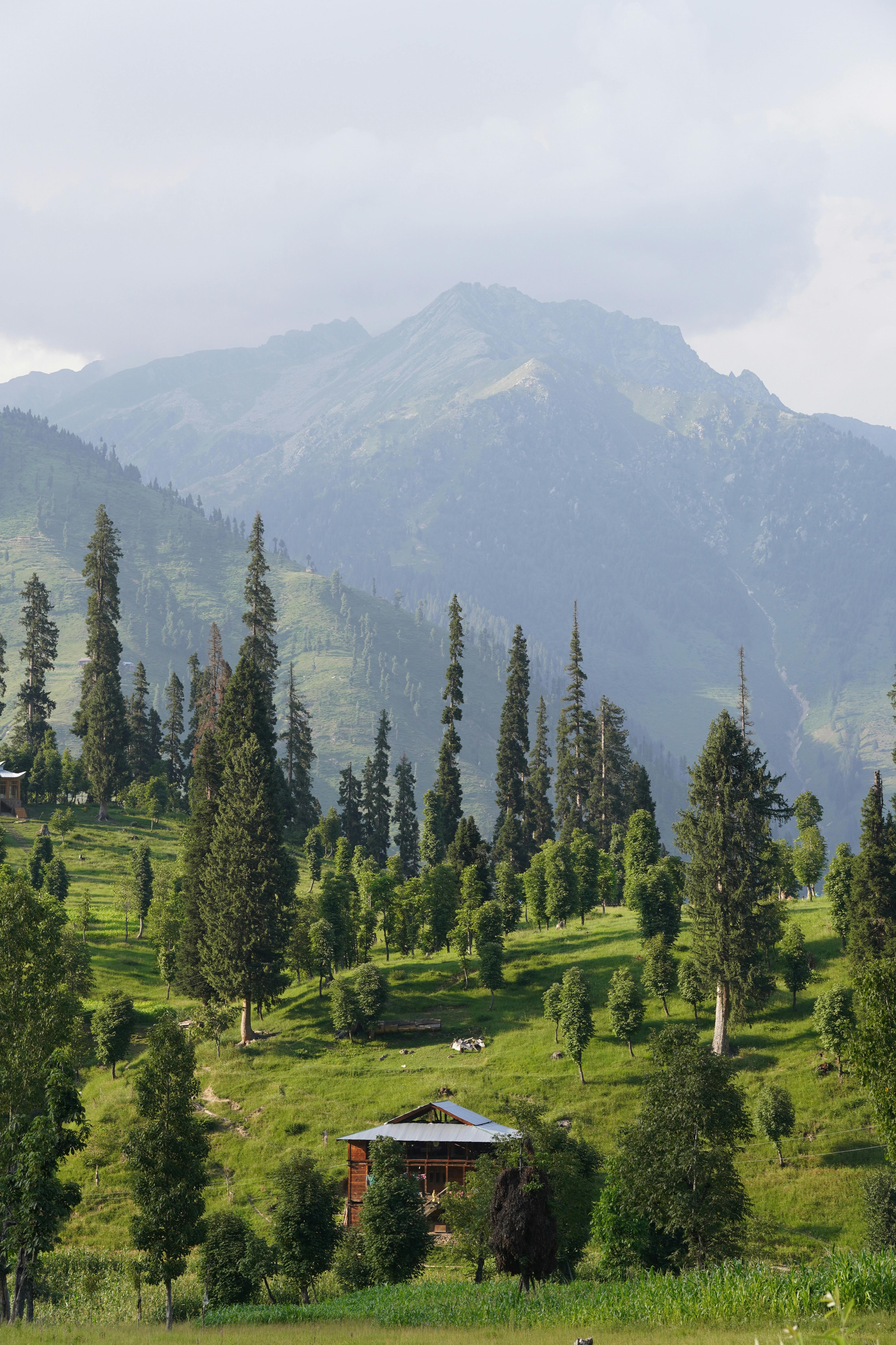 4000x6000 Kashmir Valley Photo, Download The BEST Free Kashmir Valley & HD Image