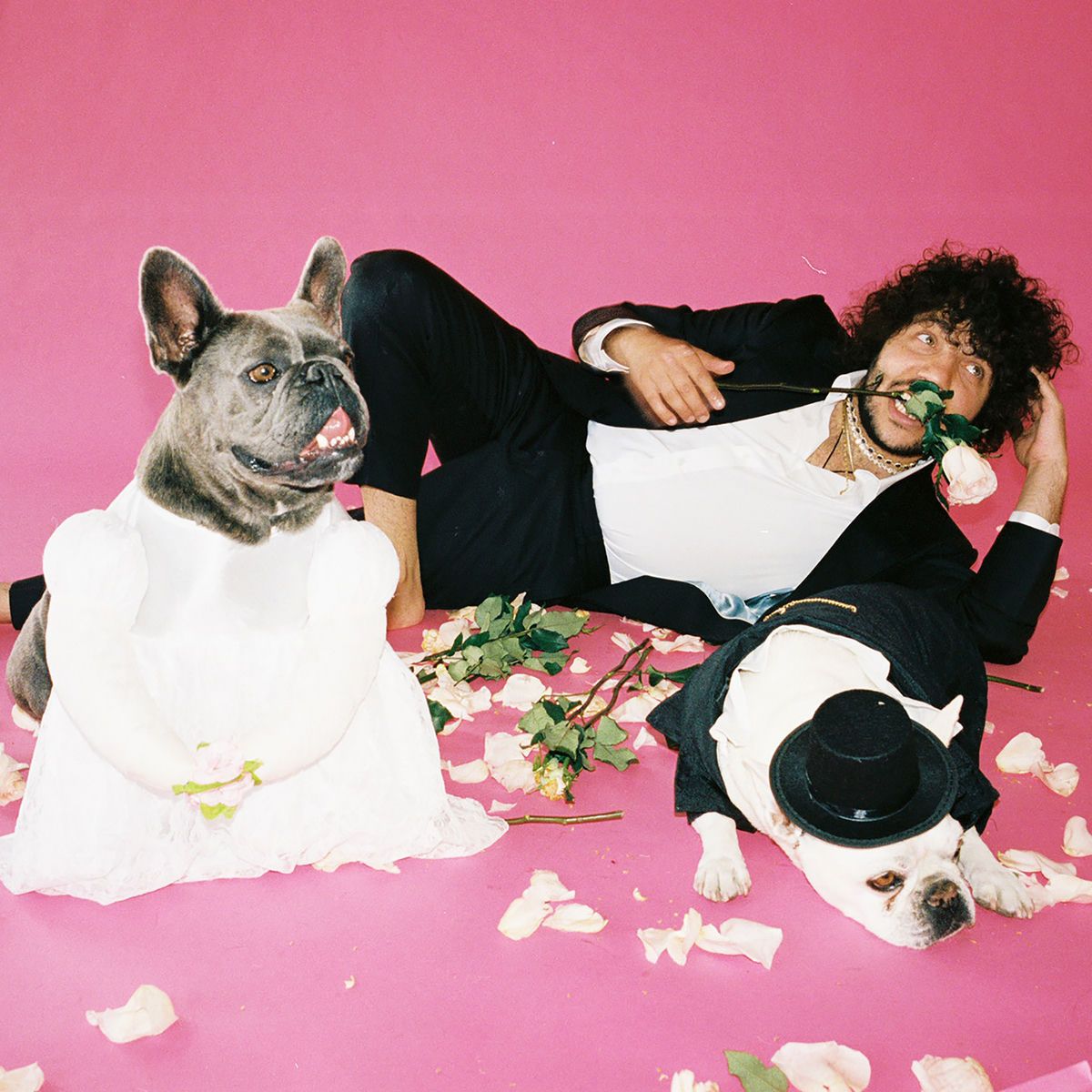 1200x1200 benny blanco (Acoustic)